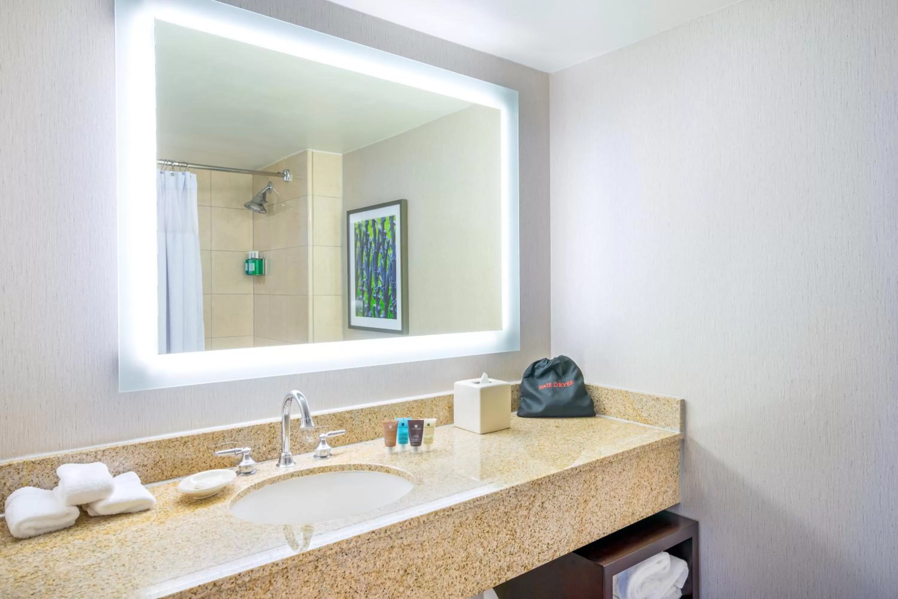 Bathroom in Crowne Plaza New Orleans French Qtr - Astor by IHG