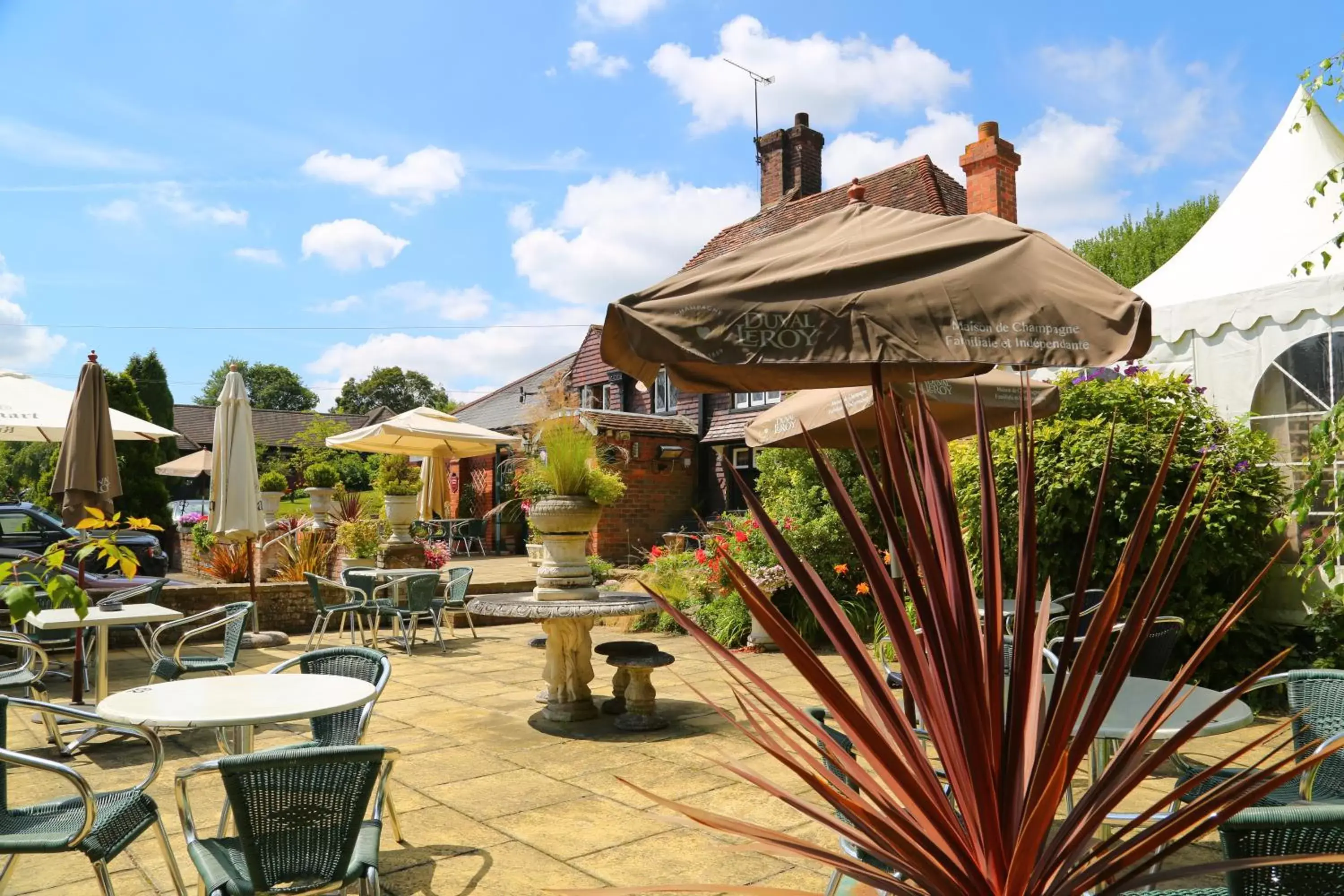 Who'd A Thought It Who'd A Thought It