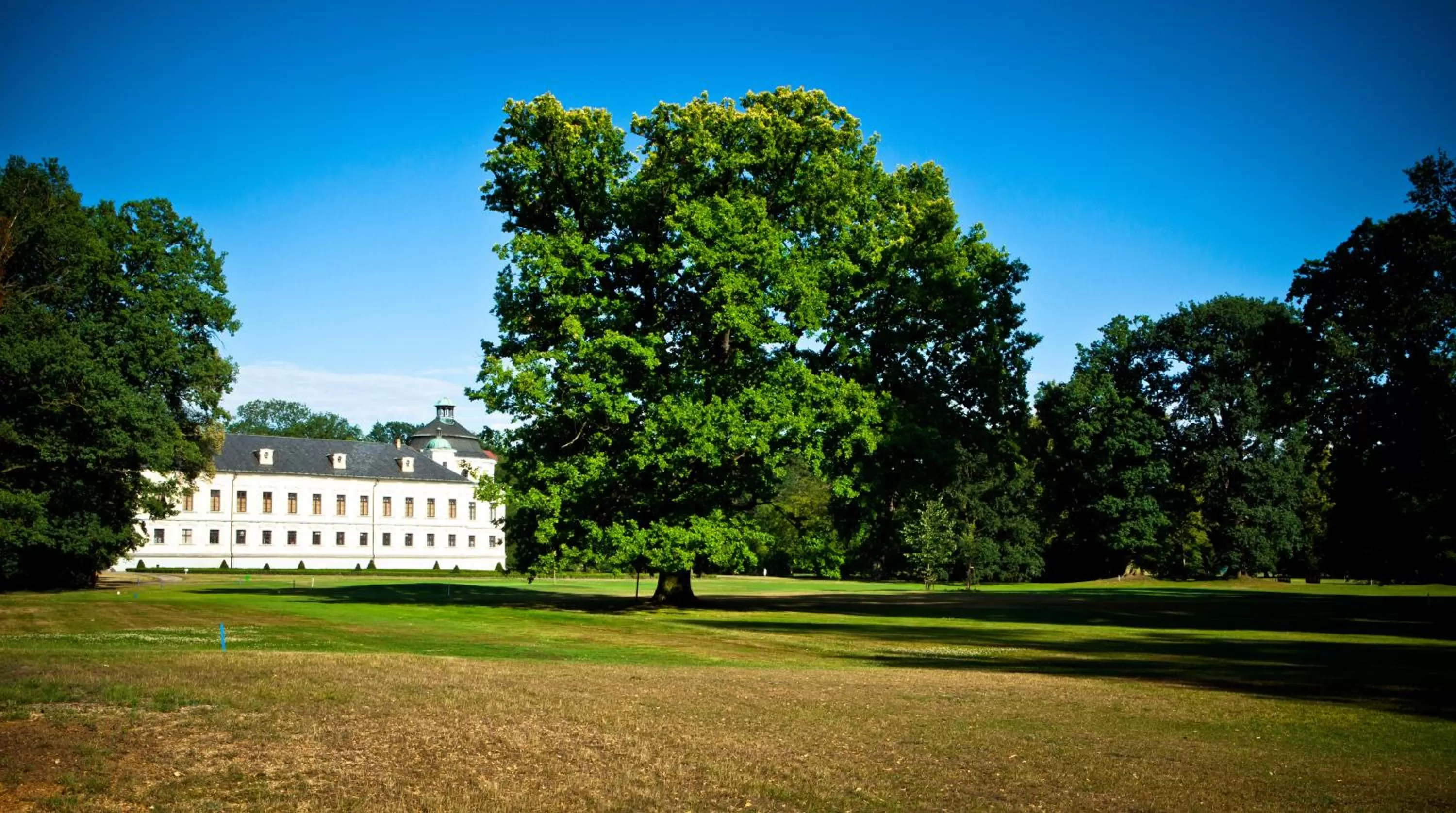 Golfcourse, Property Building in Silesia Golf Resort Kravaře