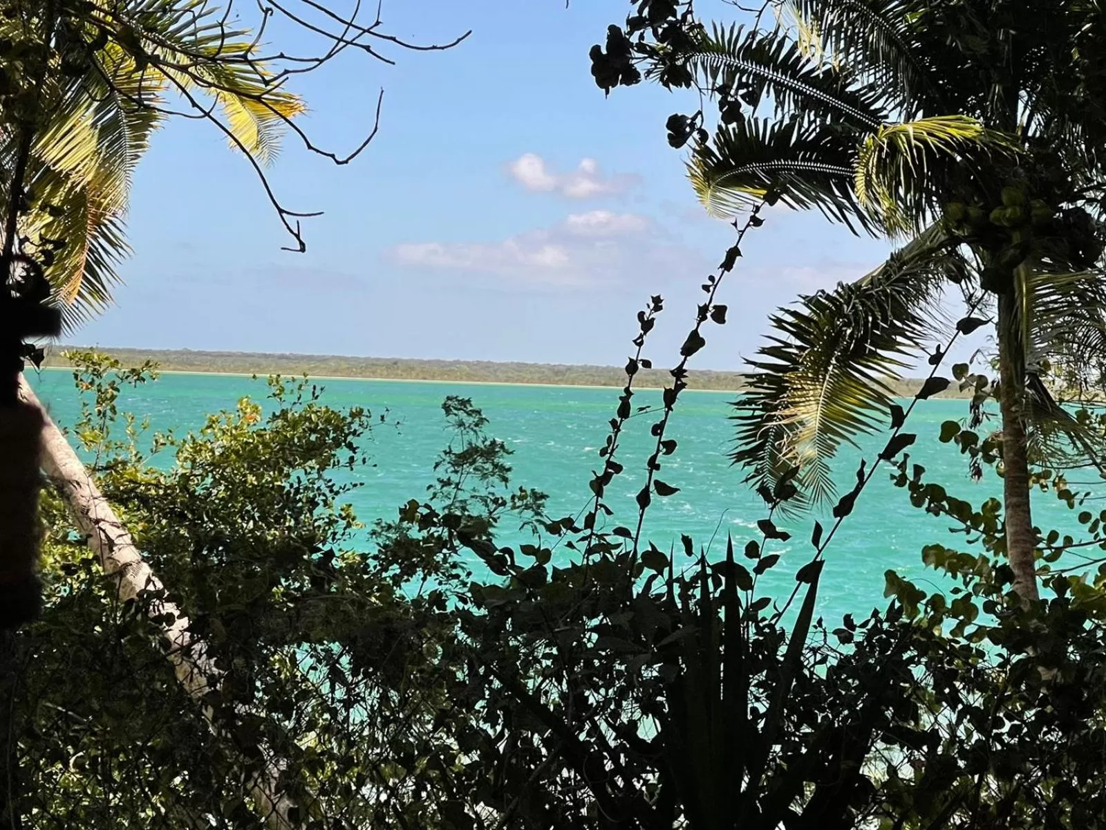 View (from property/room) in Mi Kasa Tu Kasa Bacalar