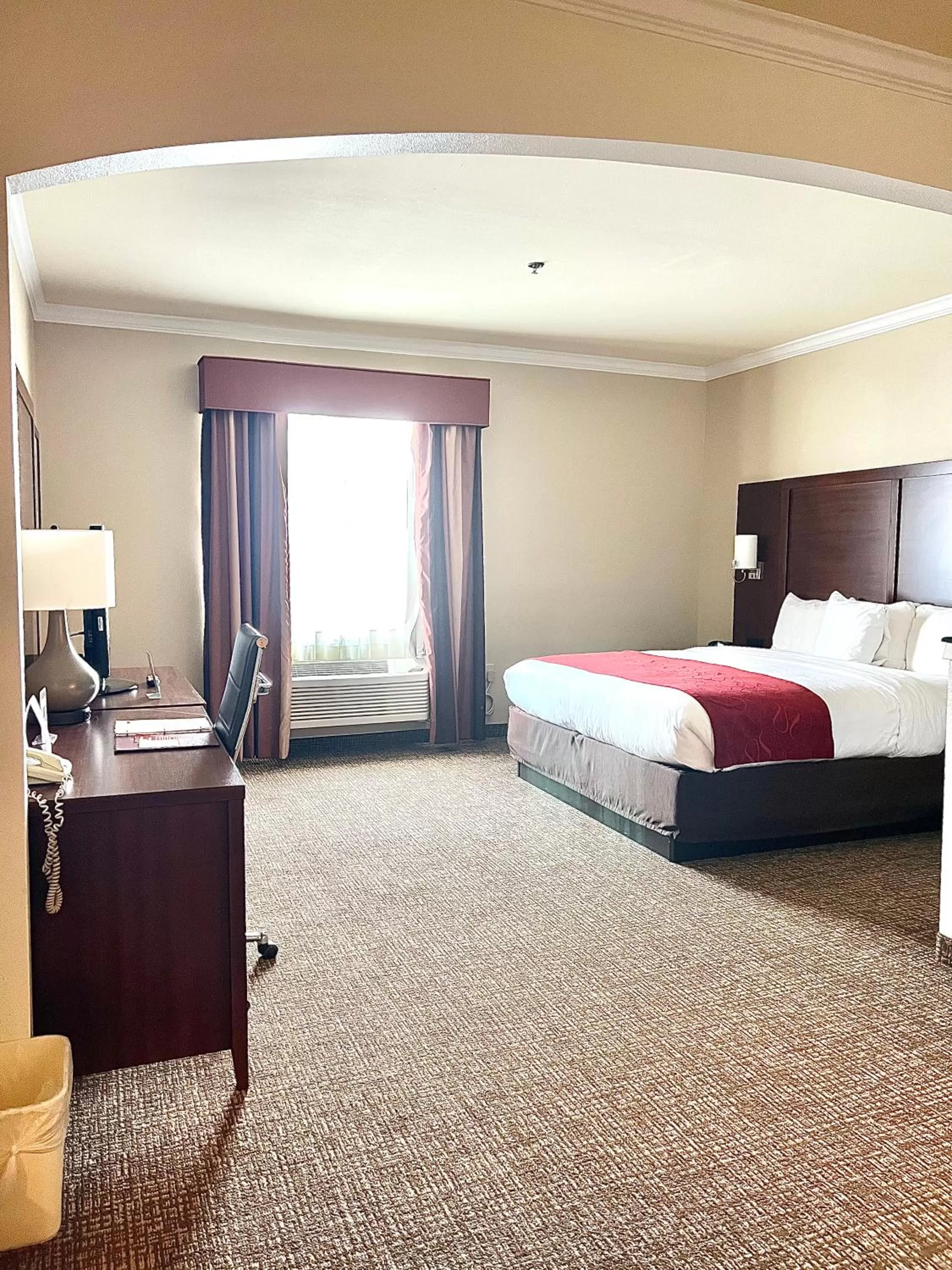 Deluxe King Suite with Kitchenette - Non-Smoking in Comfort Suites Texas Avenue