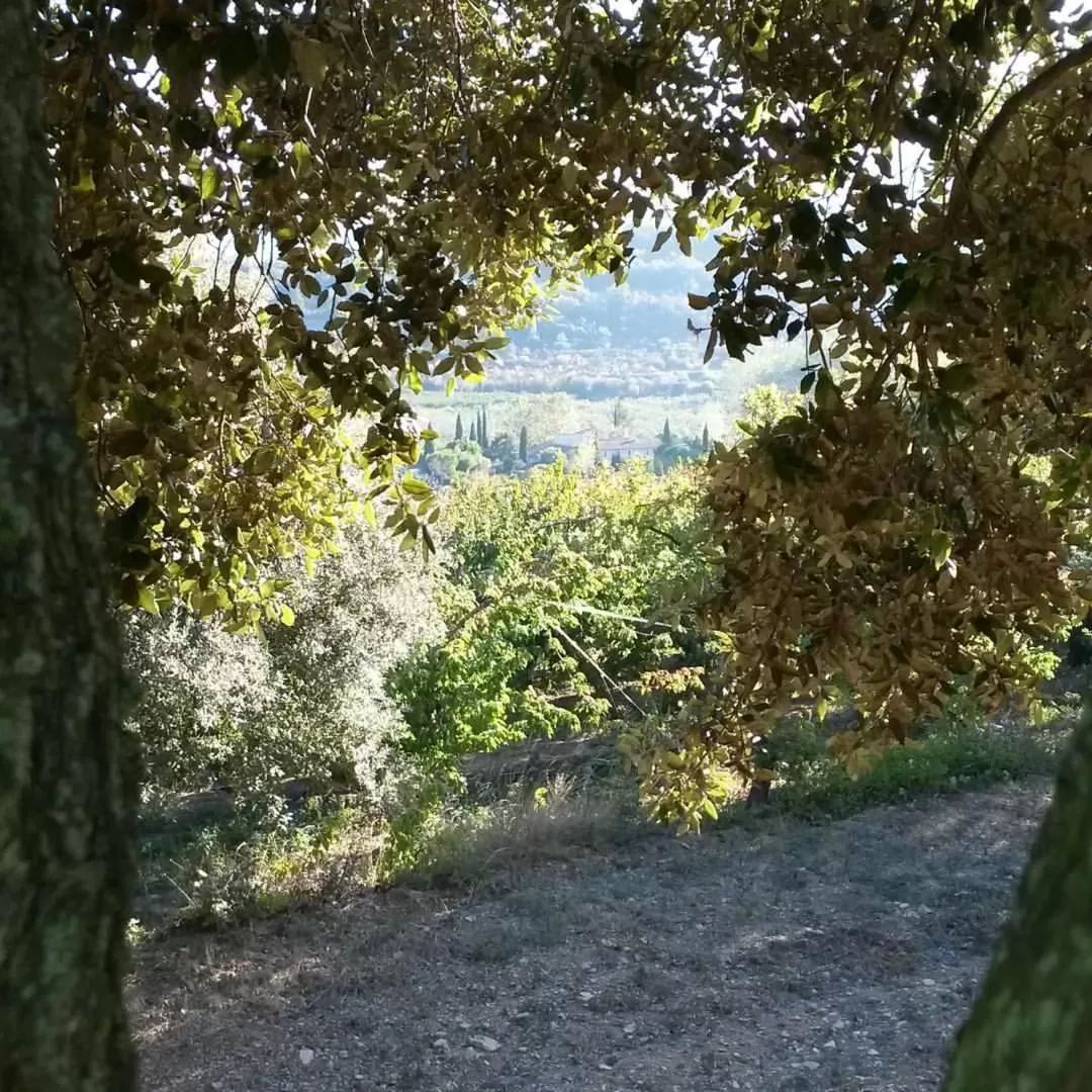 Natural landscape in Chambres d'Hôtes Aux Tournesols