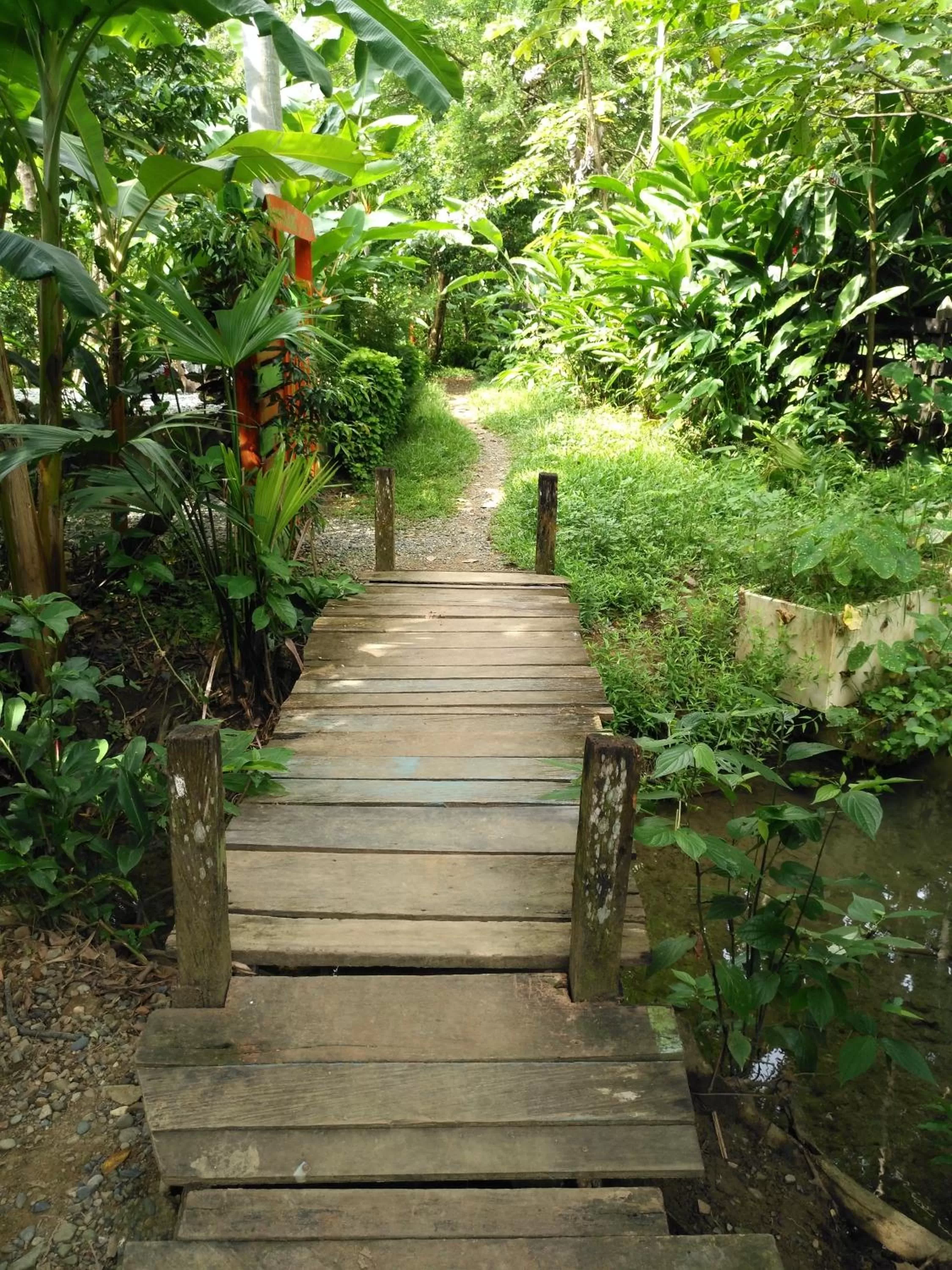 Off site, Garden in Los Robles Capurgana