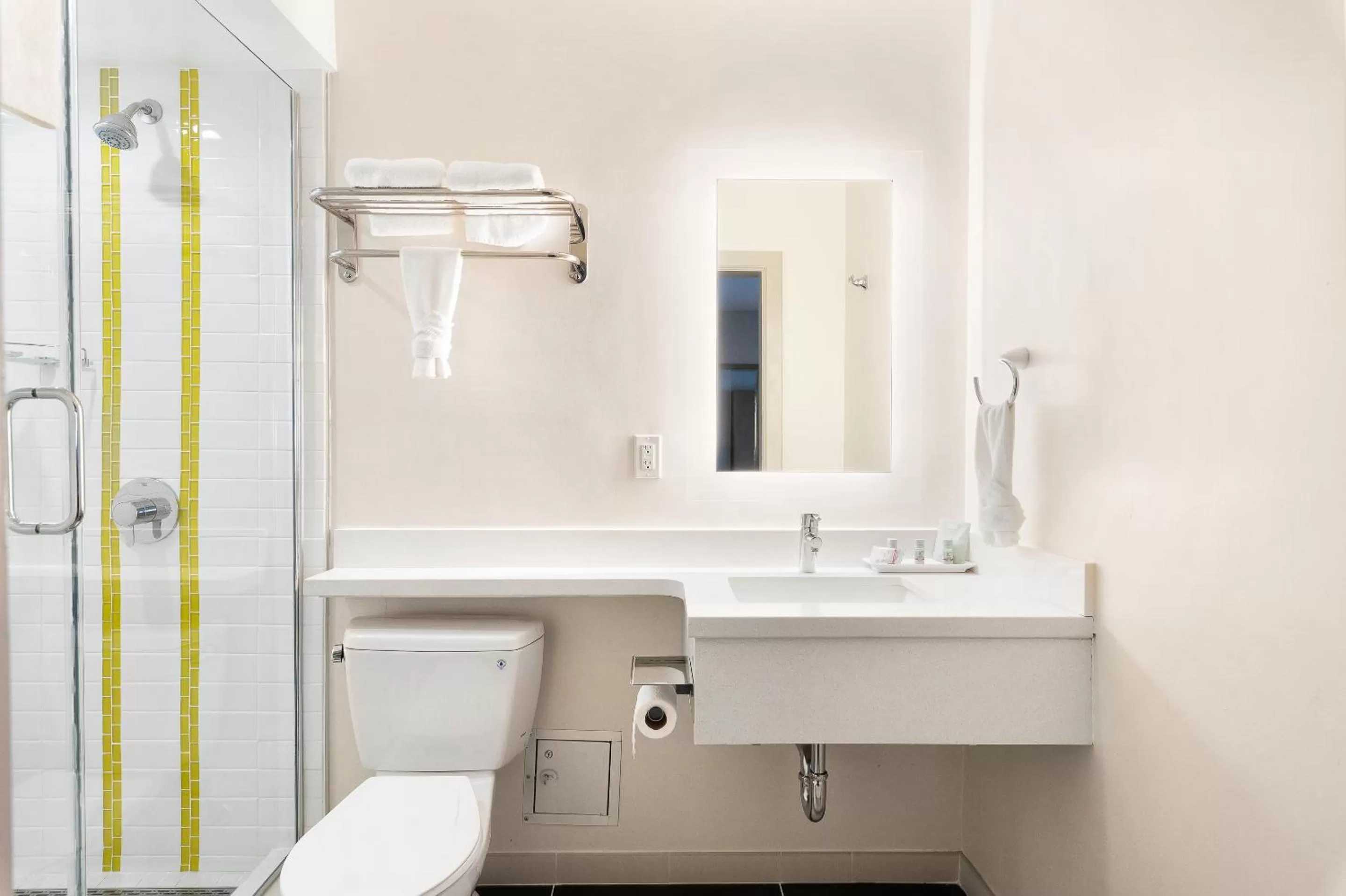 Toilet in Best Western Red Coach Inn