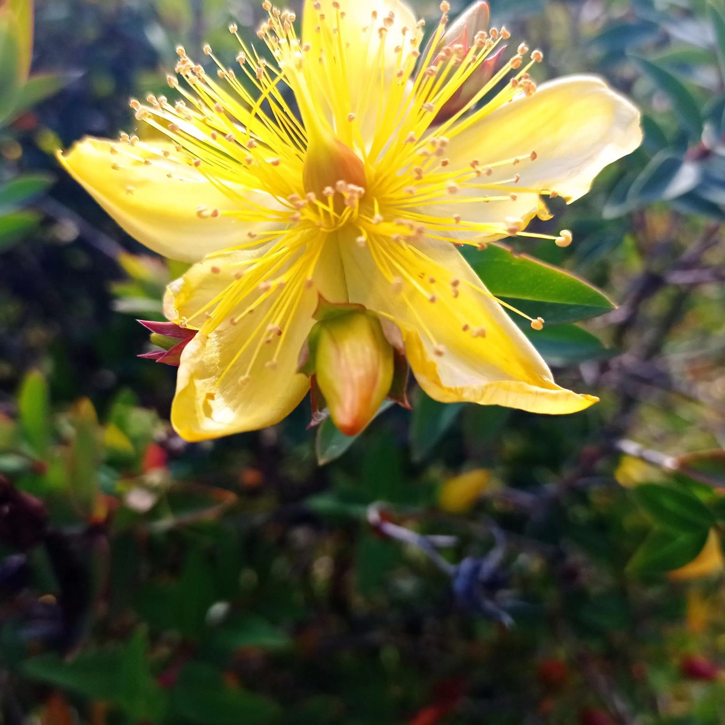 Other Animals in Hotel Refugio Pozo Azul