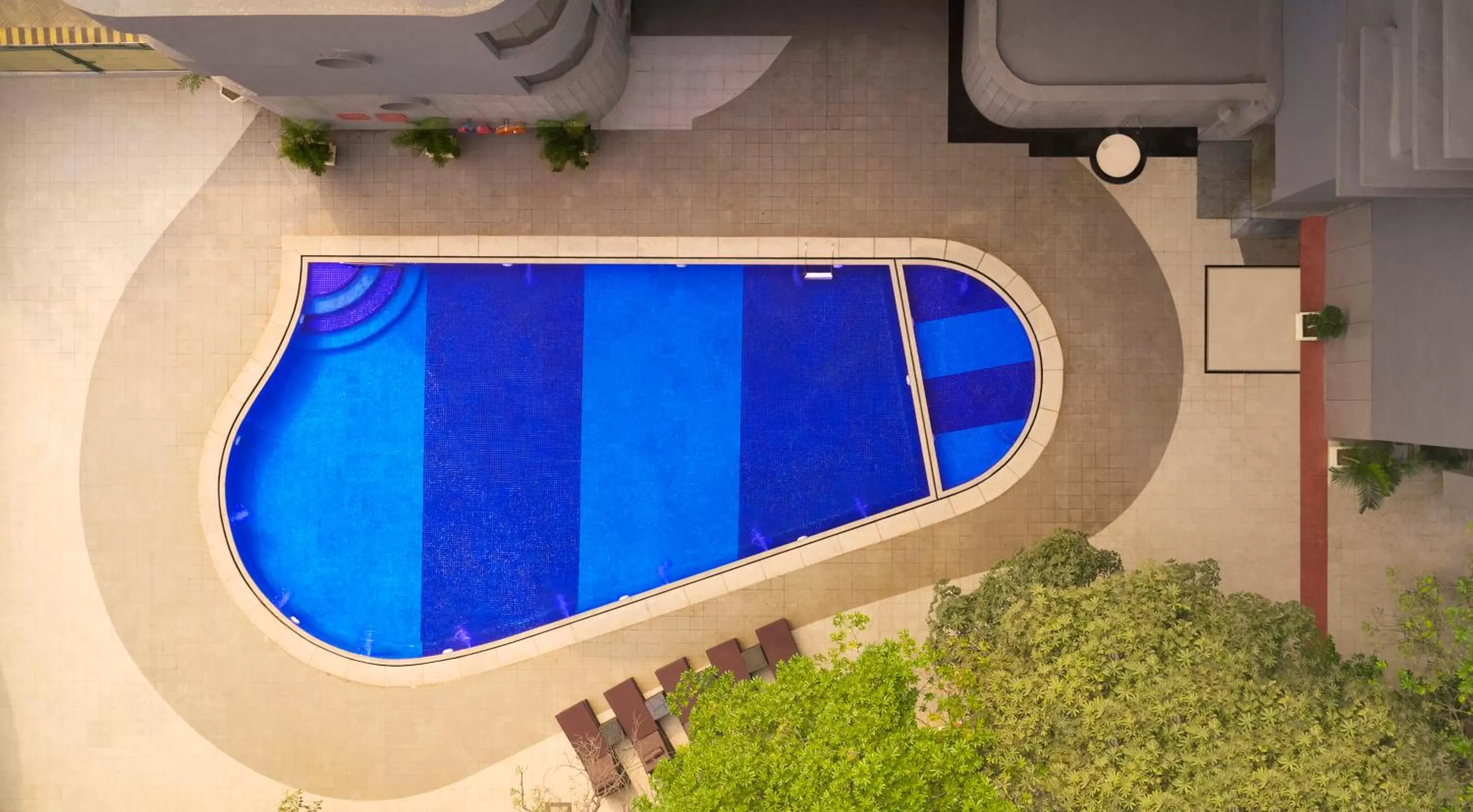 Swimming pool in Vivanta Vadodara