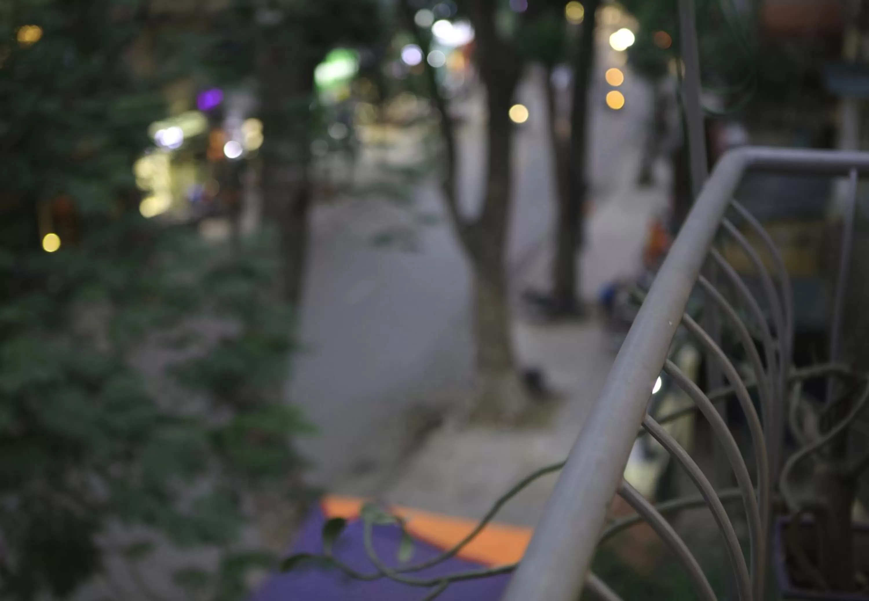 Garden view in The First Ba Trieu Ha Noi