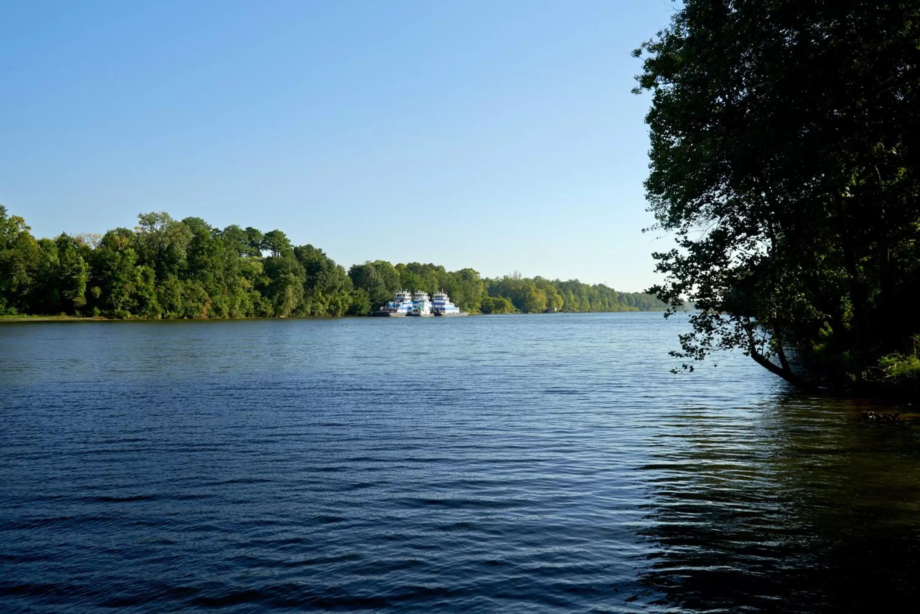 Other in Hotel Indigo Tuscaloosa Downtown by IHG