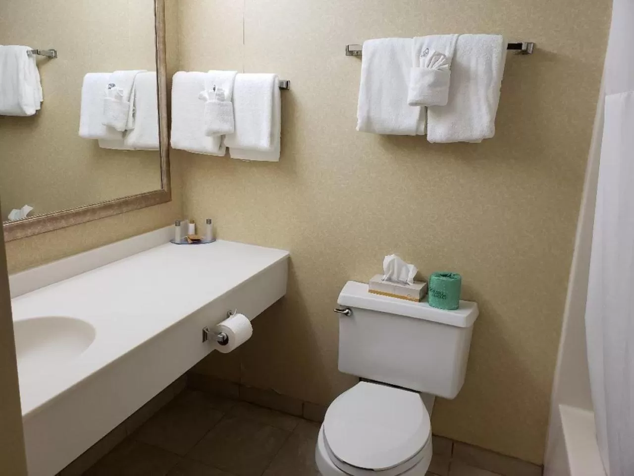 Bathroom in Chateau Resort & Conference Center