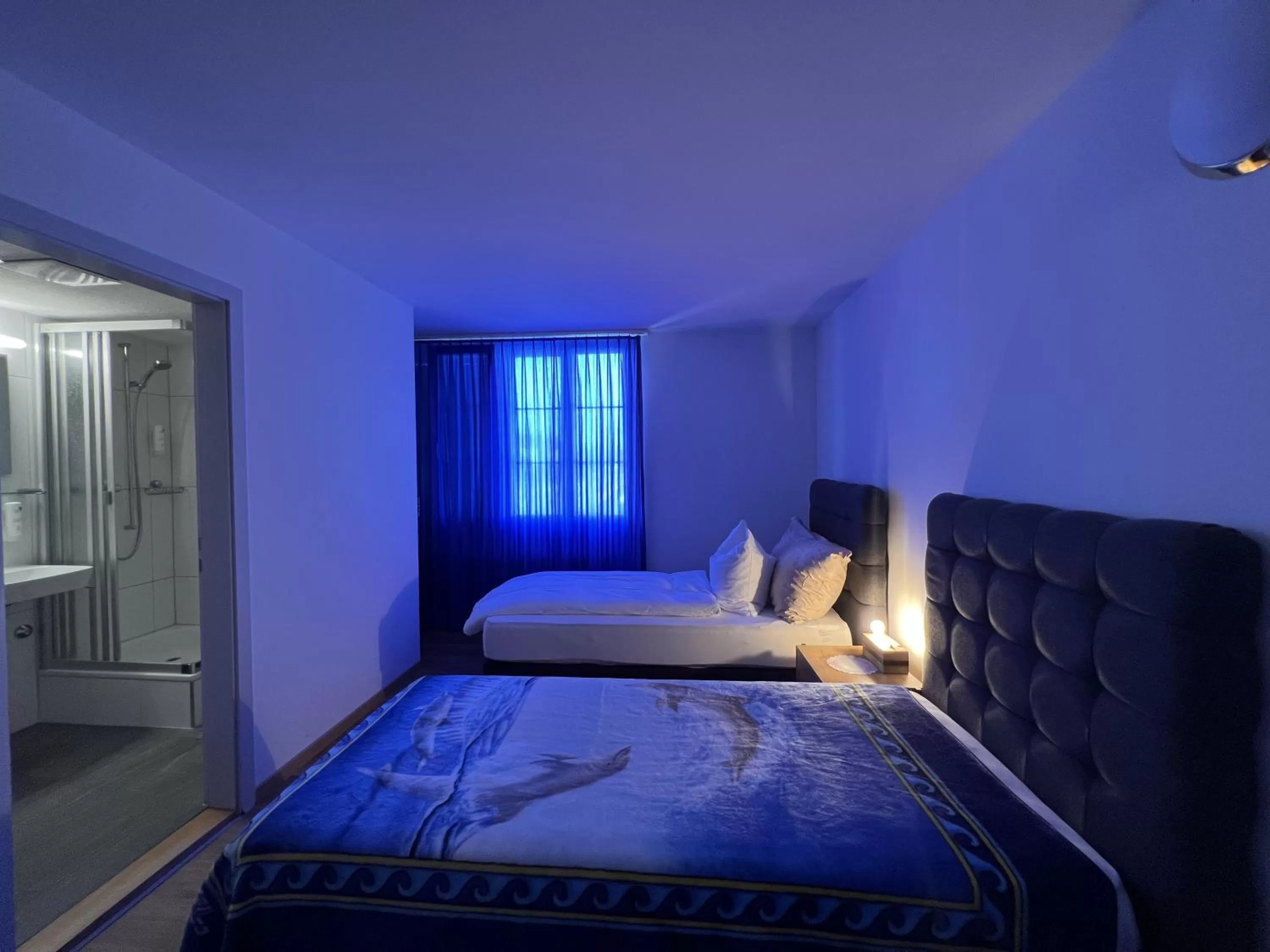 Hotel Hirschen Hinwil