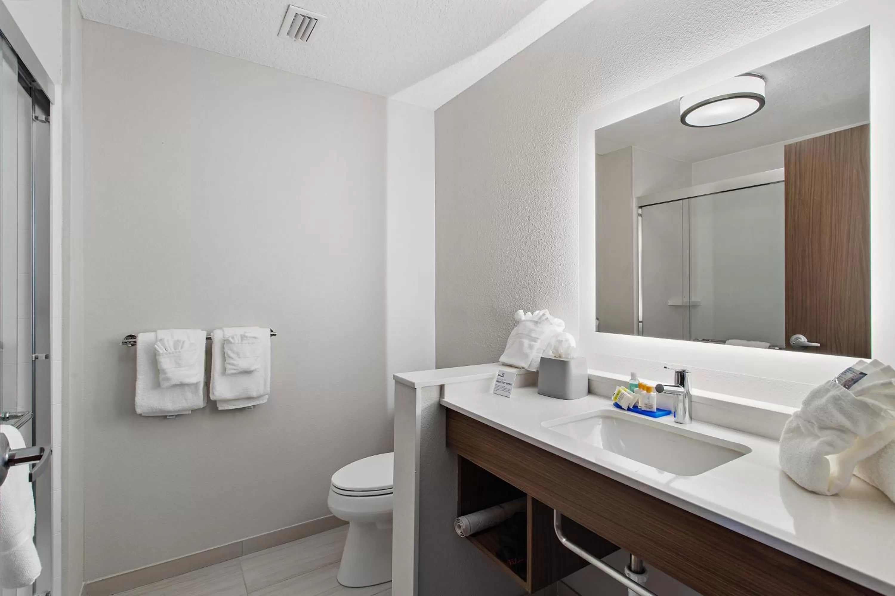 Bathroom in Holiday Inn Express St. Augustine - Vilano Beach by IHG