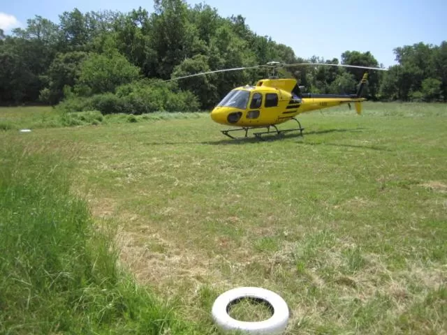 Garden in Domaine du Lac - Teritoria