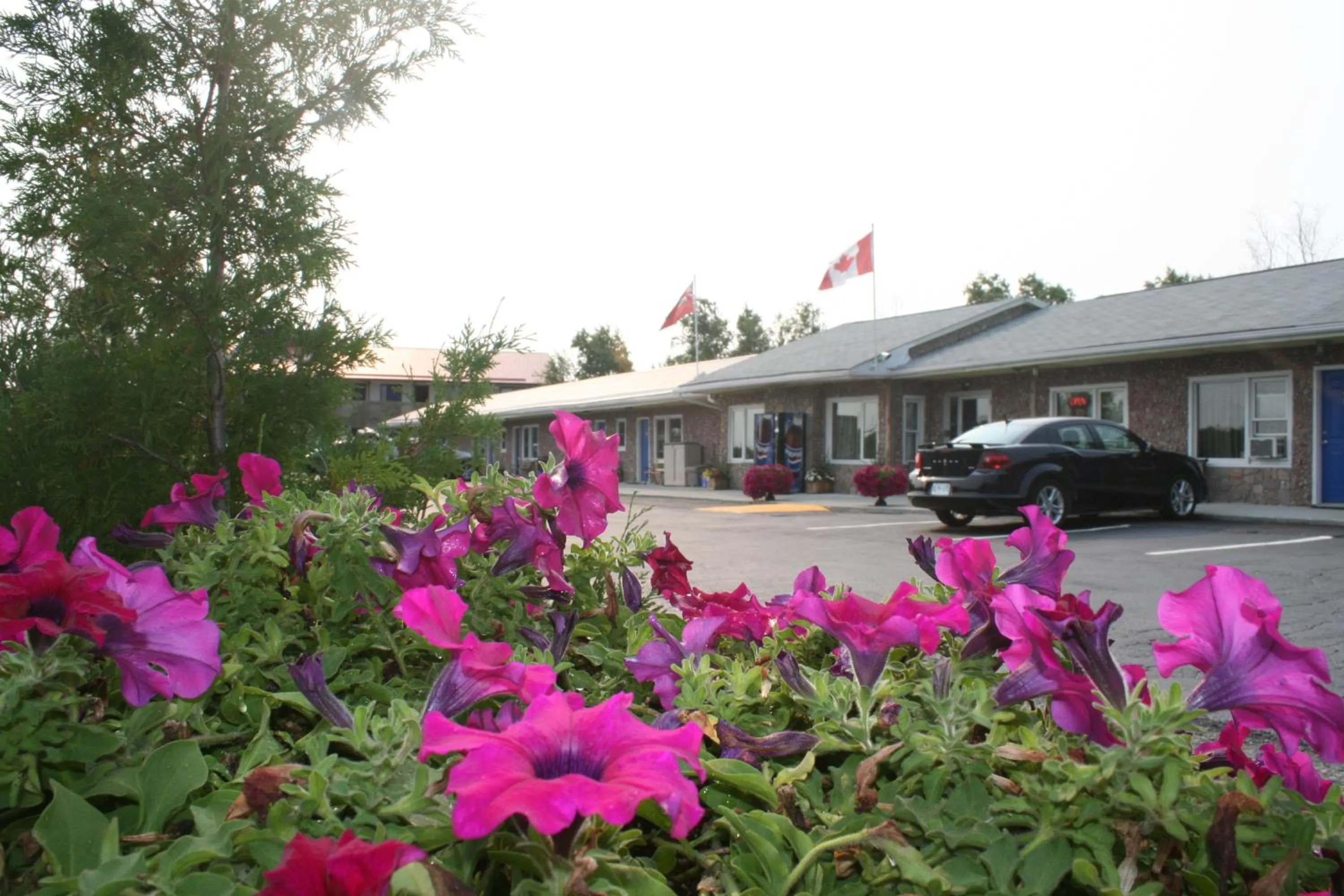 Facade/entrance in Moonlight Inn and Suites Sudbury