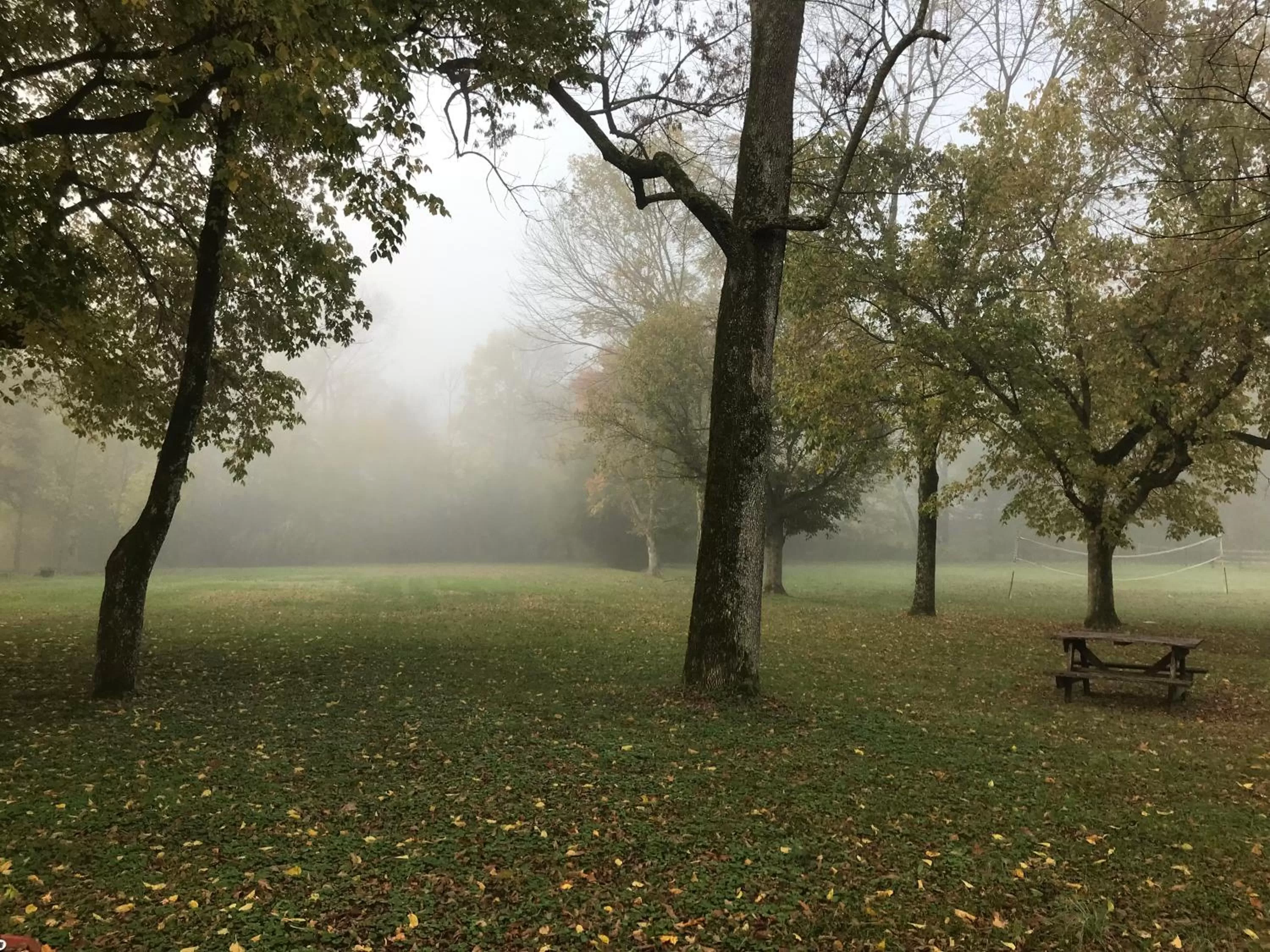 Garden in Armour's Hotel & Spa