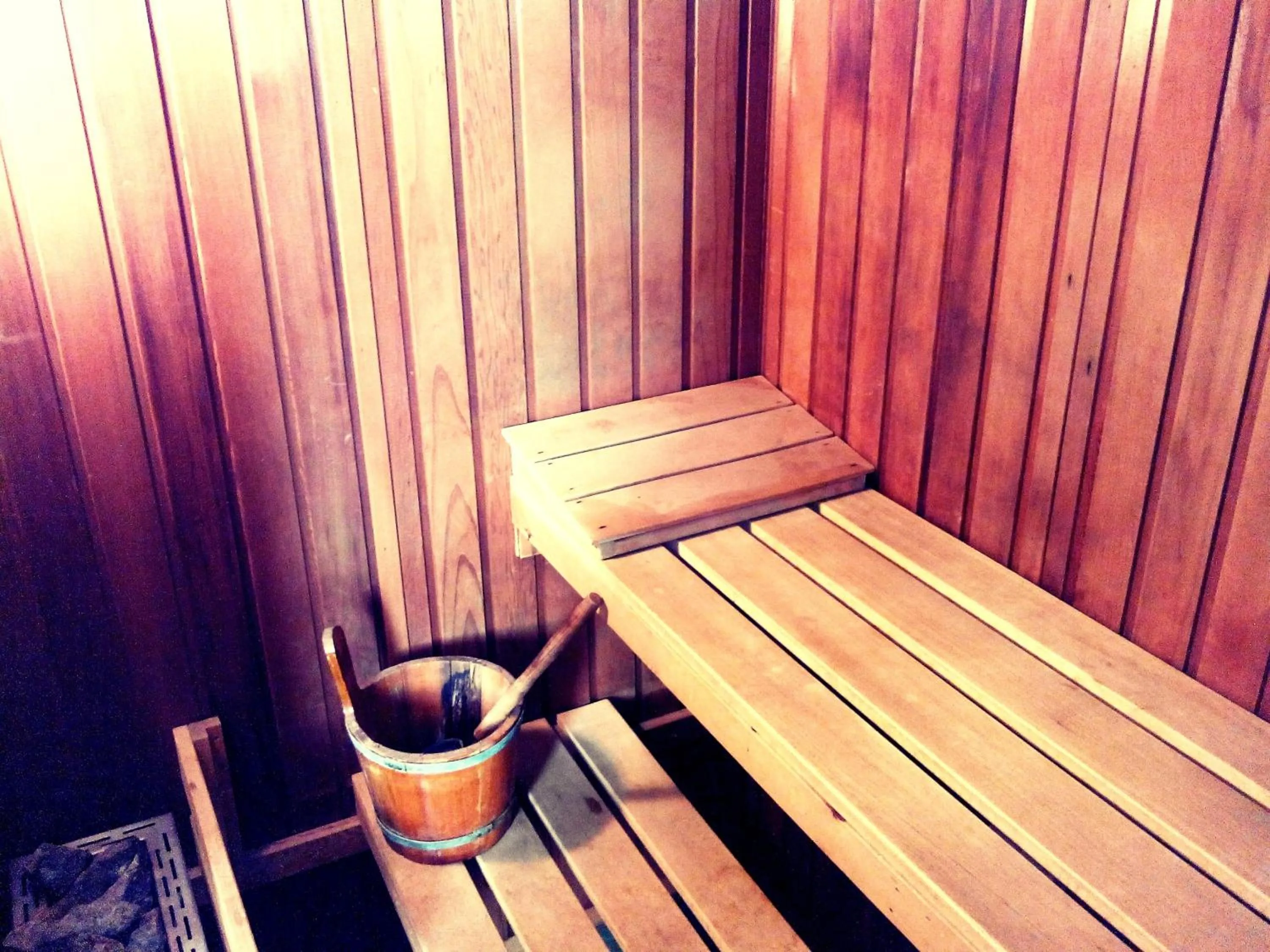 Sauna in Hôtel Christina Lourdes