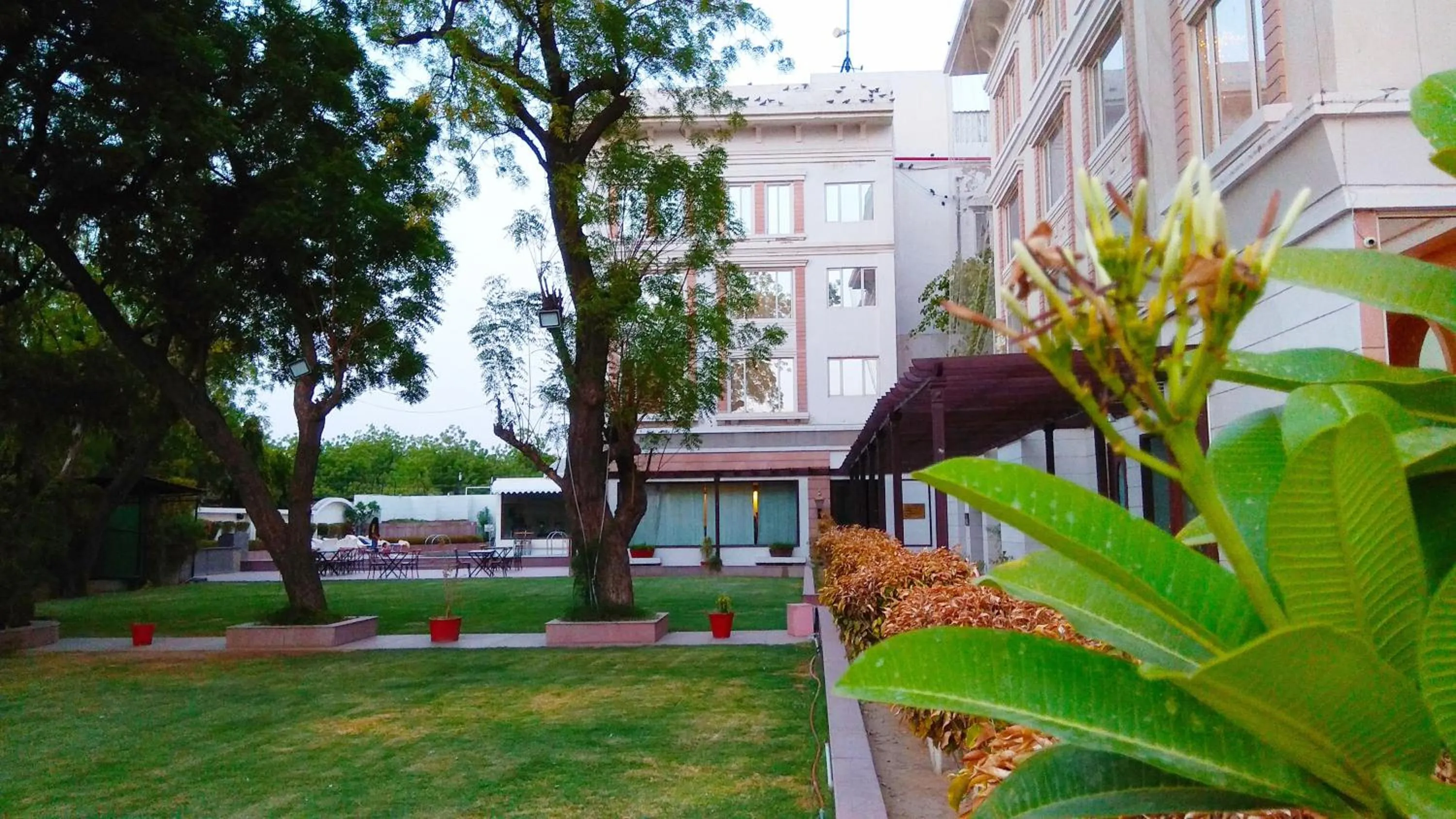 Garden in Park Plaza Jodhpur