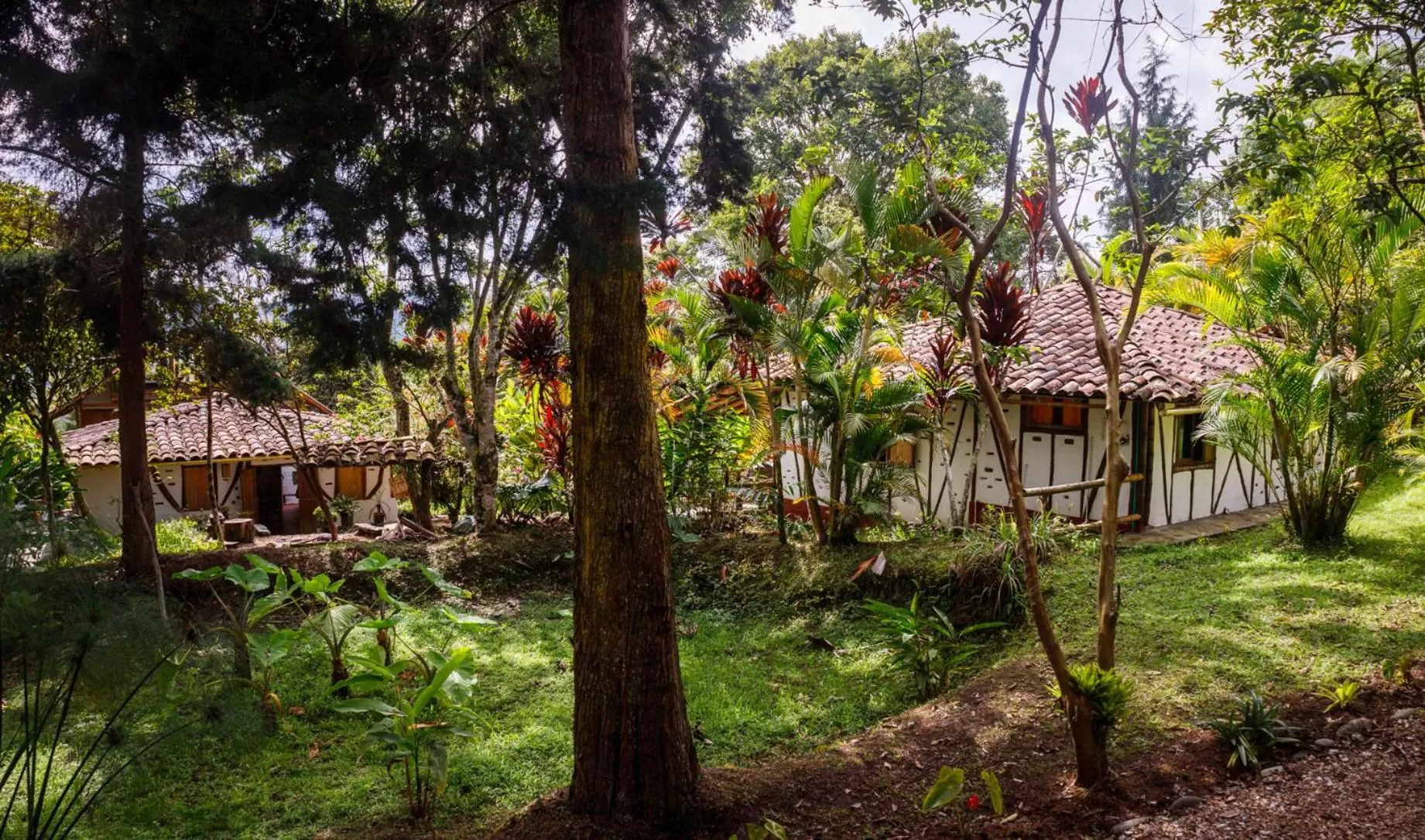 Property building, Garden in Hotel La Casa de Francois