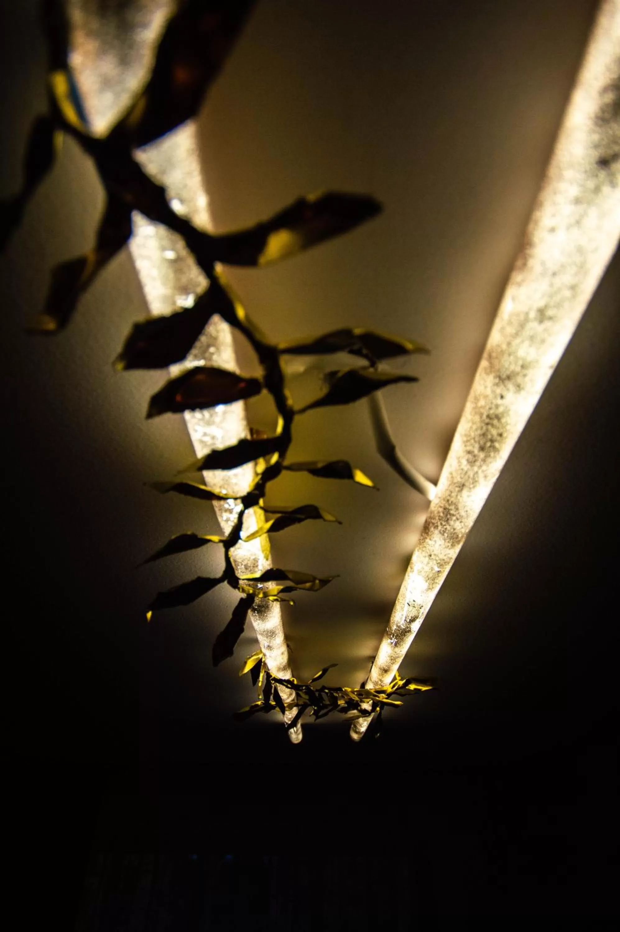 Other, Other Animals in Kyiv Panorama Apartments near Gulliver