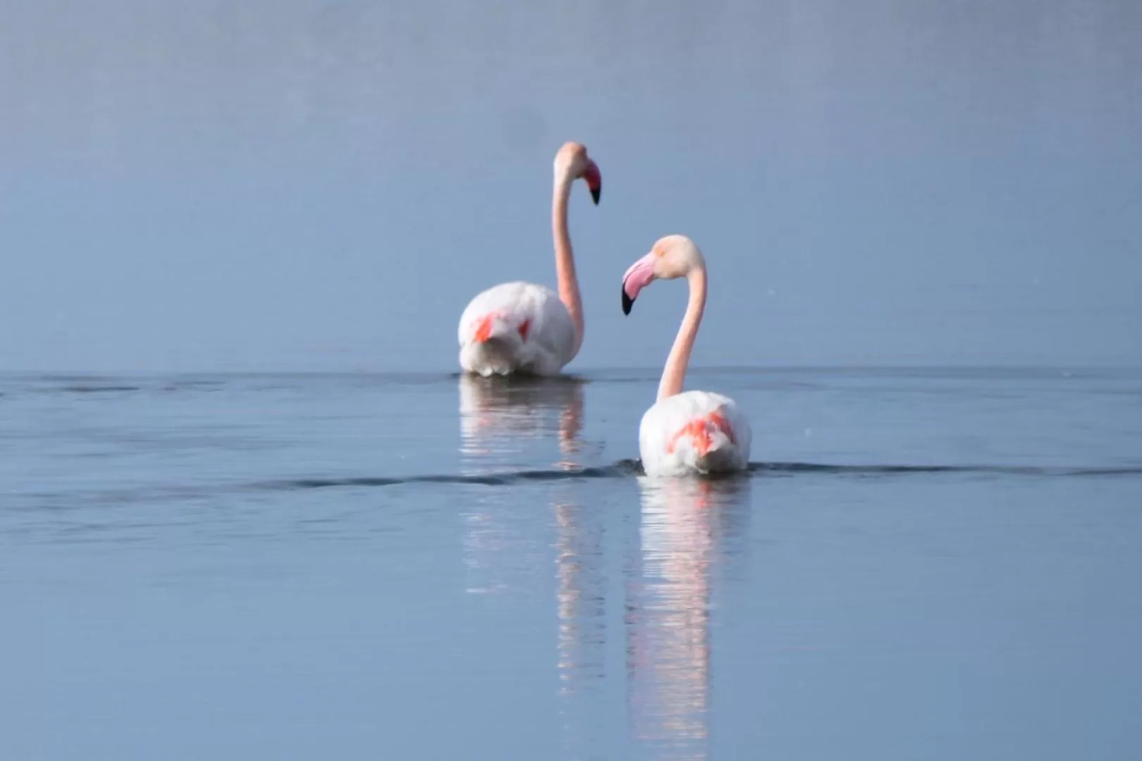 Activities in S'Apprigu B&B