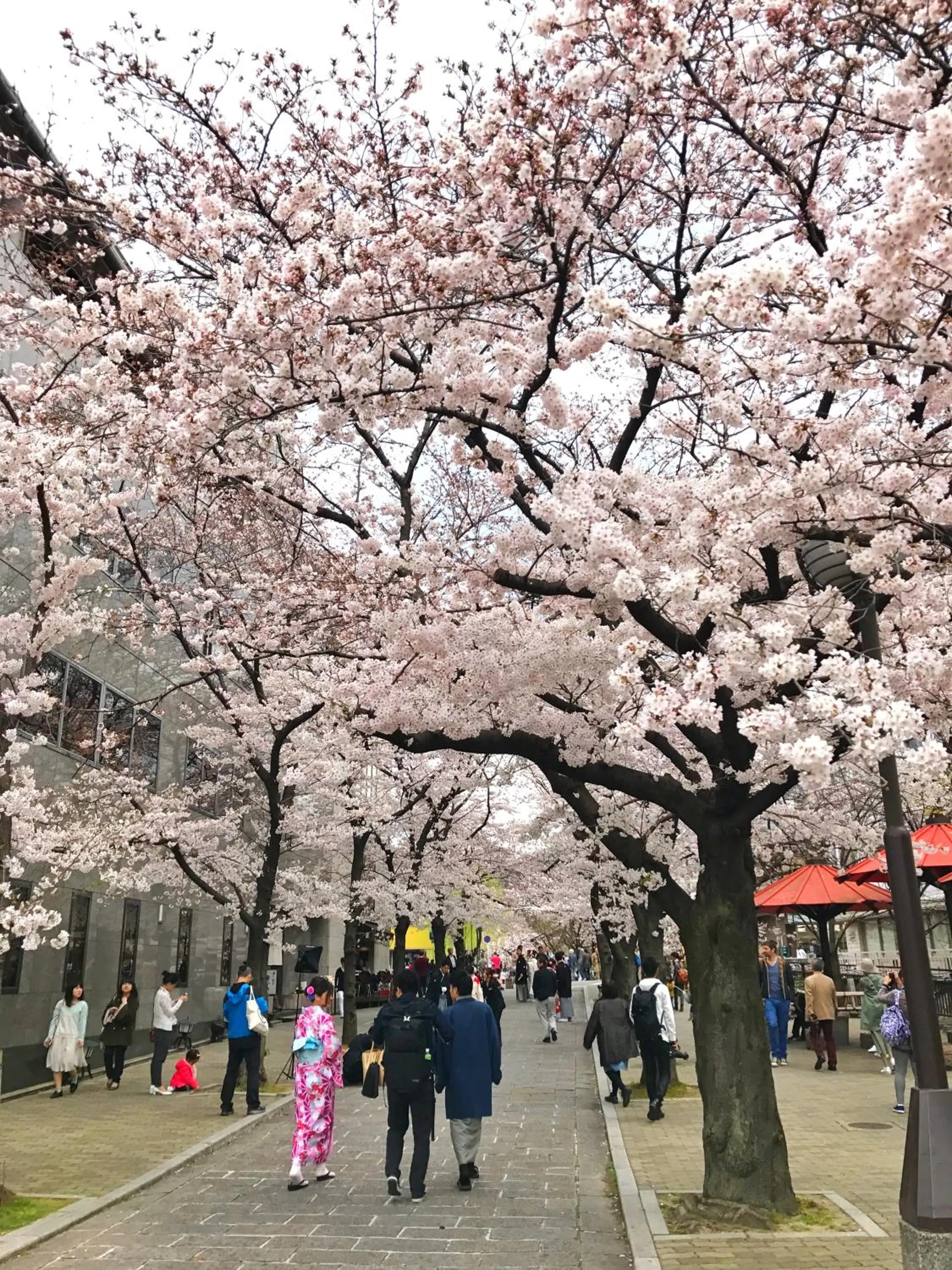 Natural landscape in My K House