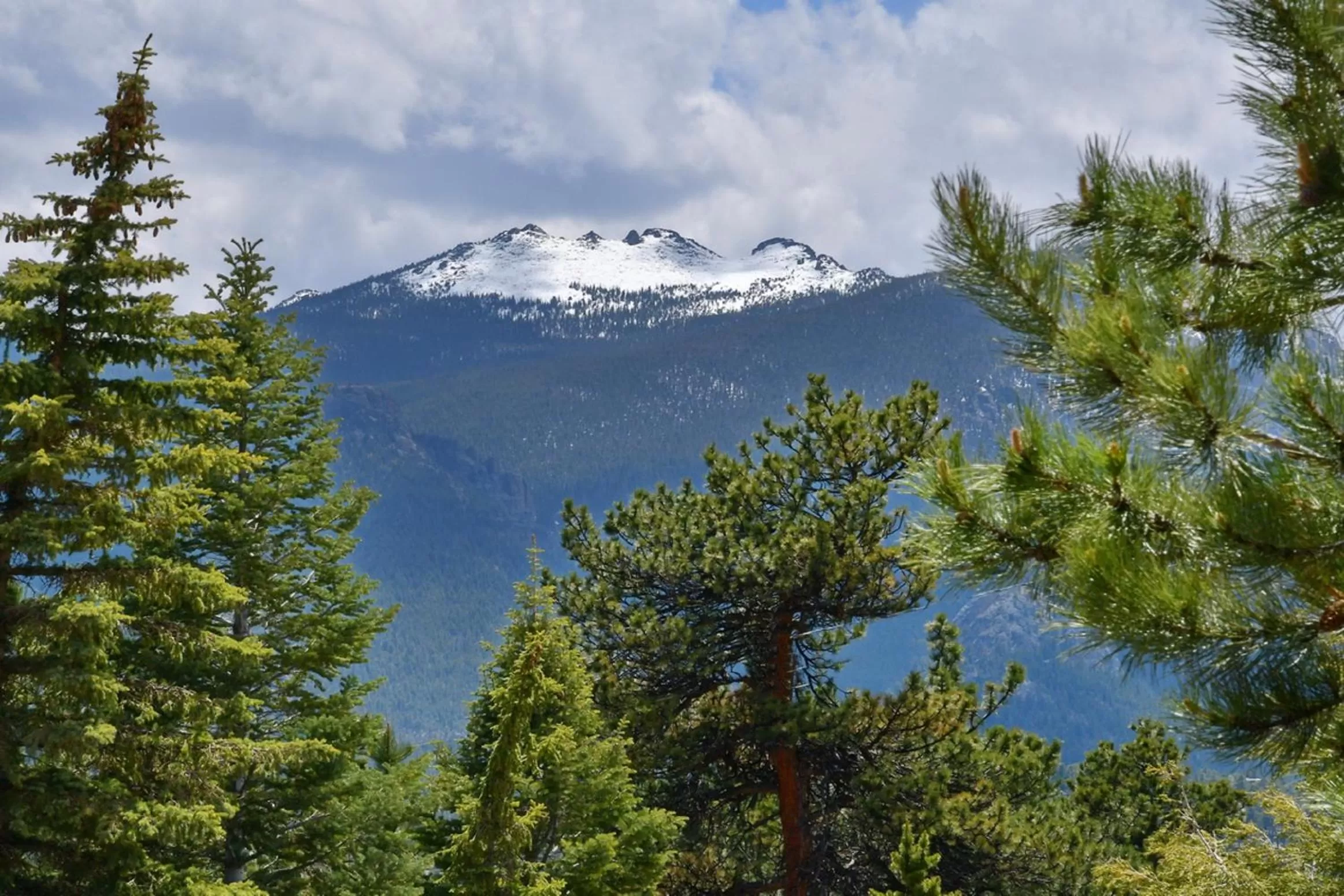 Mountain view in Murphy's Resort