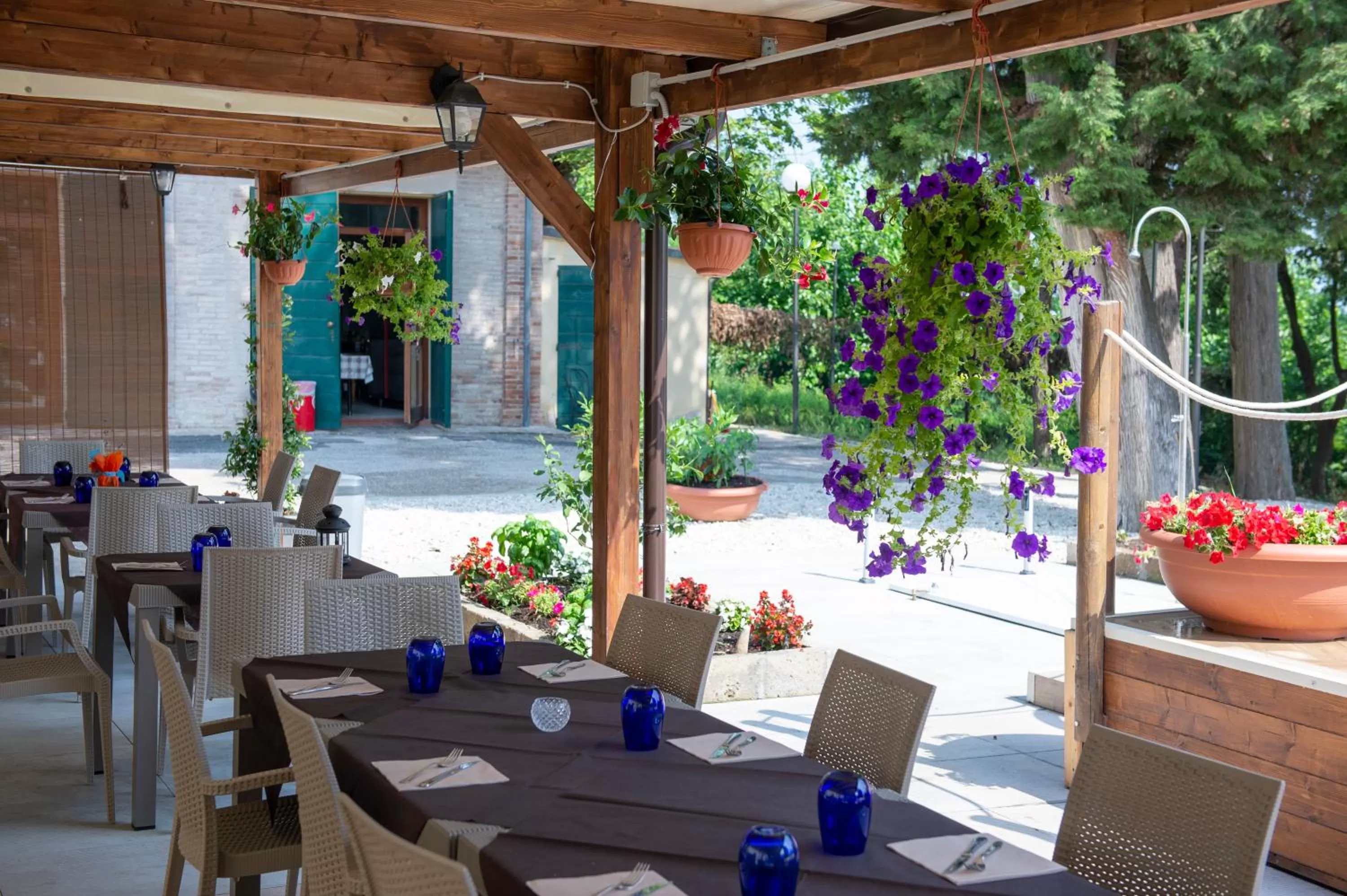 Restaurant/places to eat in Tenuta Villa Colle Sereno