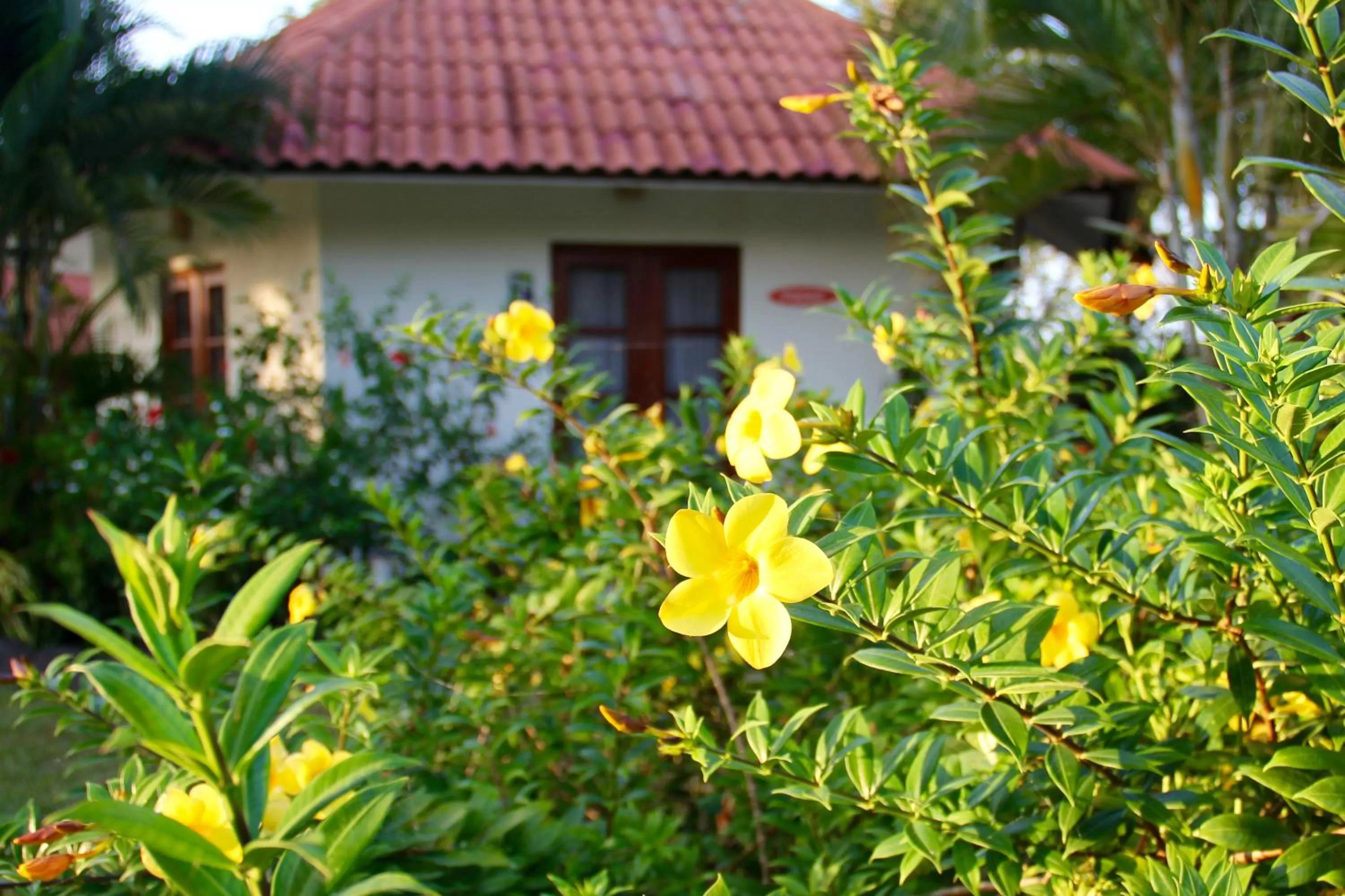 Property Building in Cabañas La Casa de Pucha