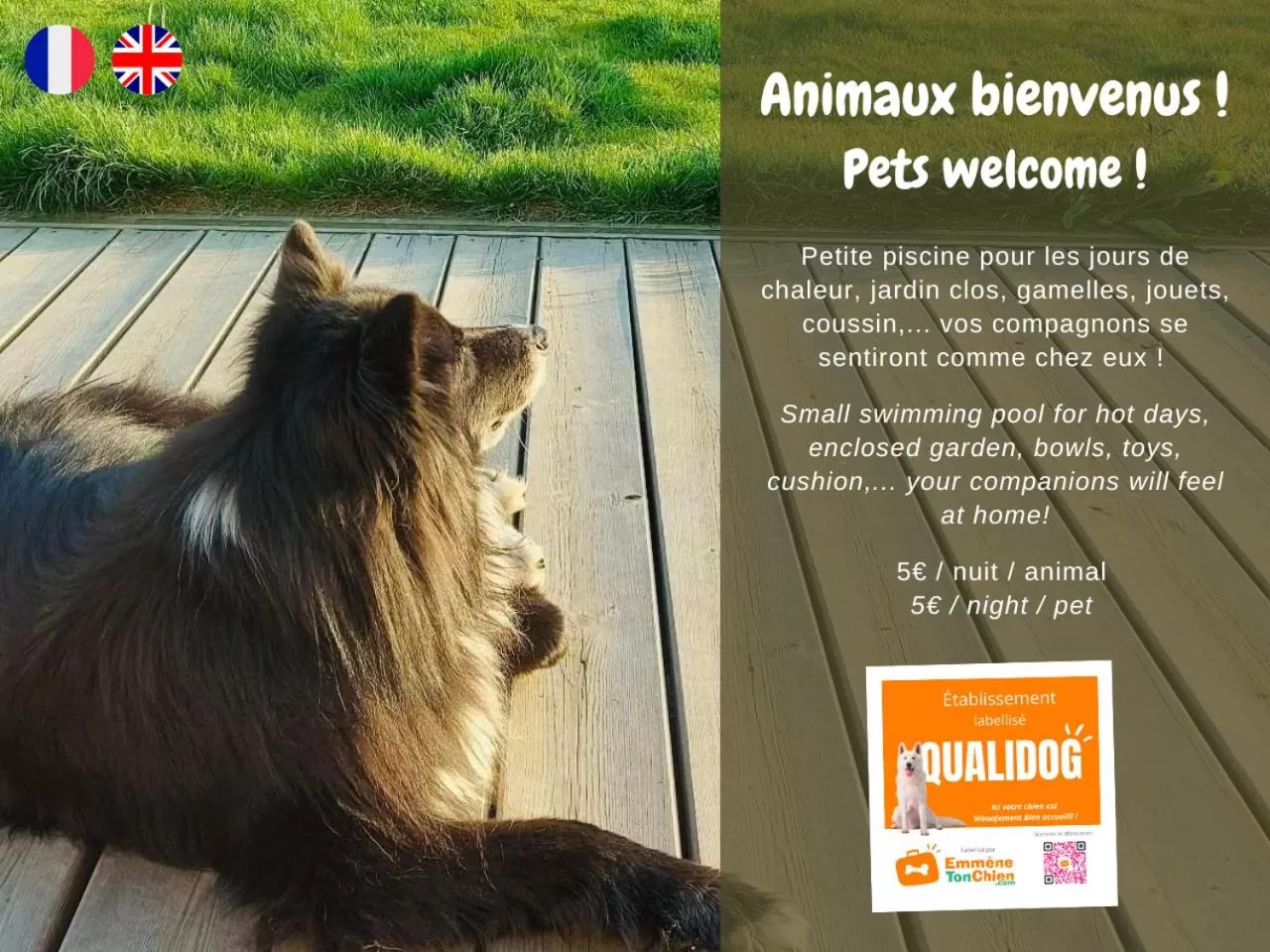 Pets in L'Autre Rivière - Chambres d'hôtes