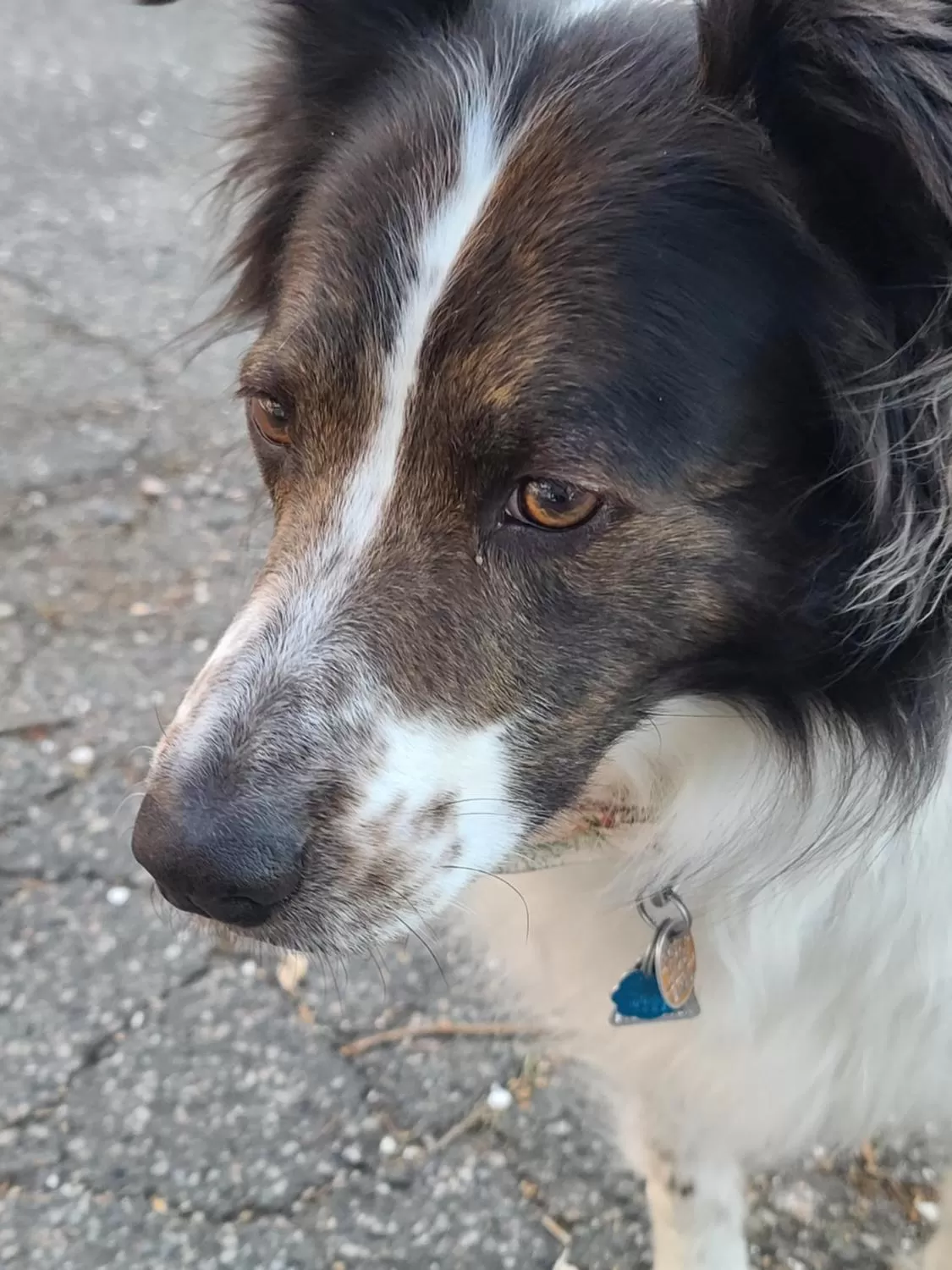 House of 1833 Bed and Breakfast