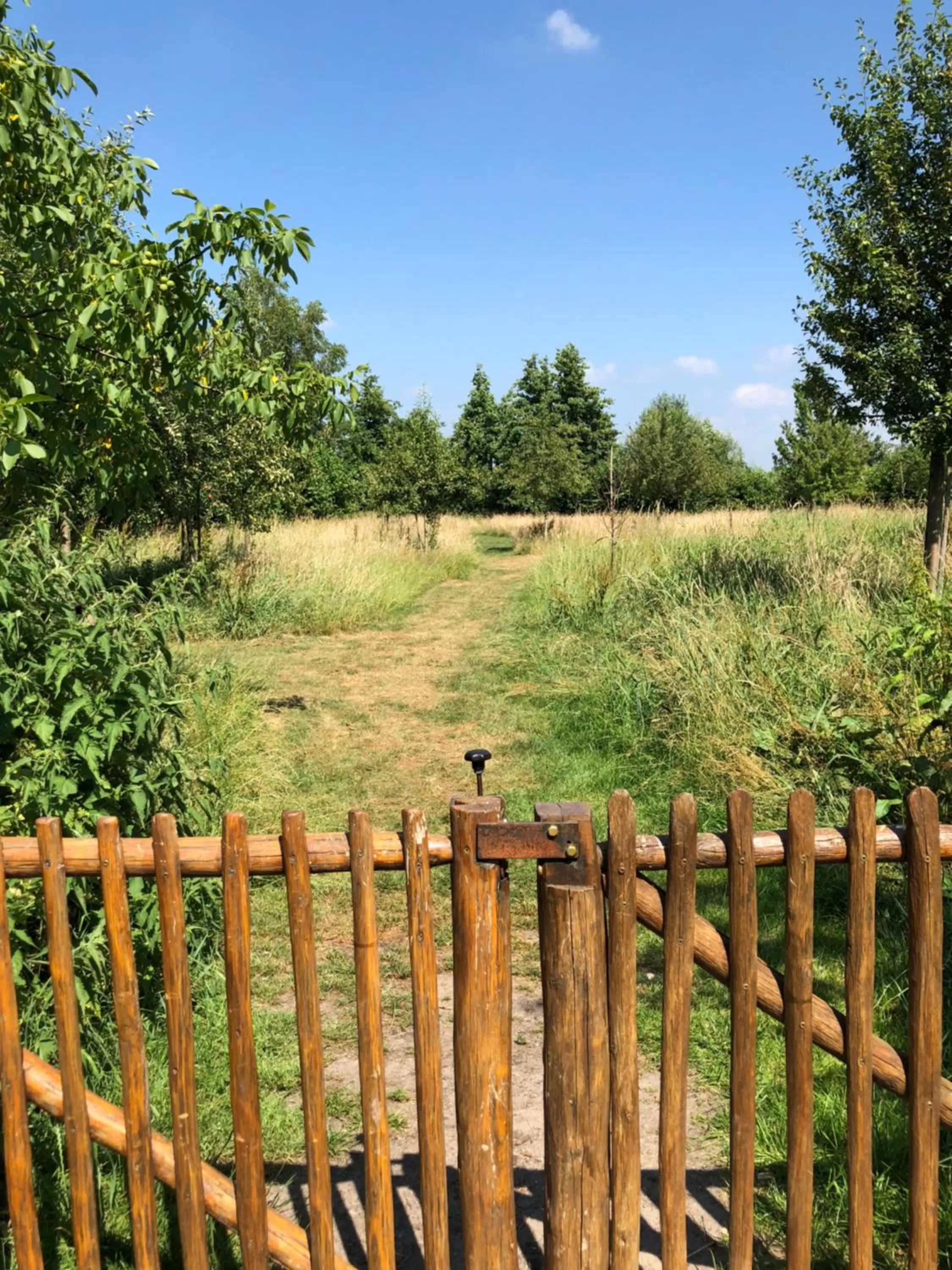 Garden in Hotel Hof van 's Gravenmoer