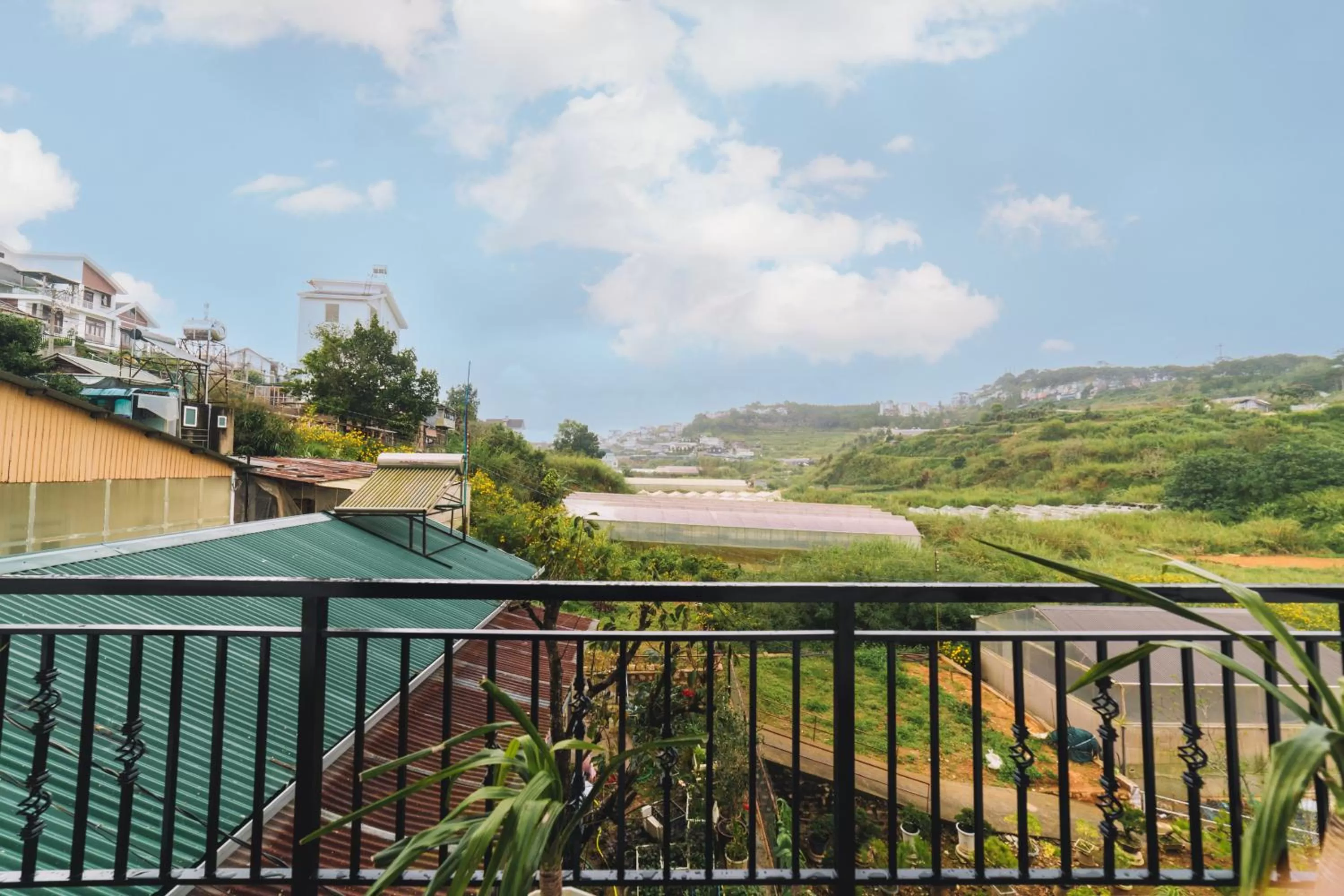 Natural landscape in GREENECO DA LAT HOTEL - Khách sạn Green Eco Đà Lạt