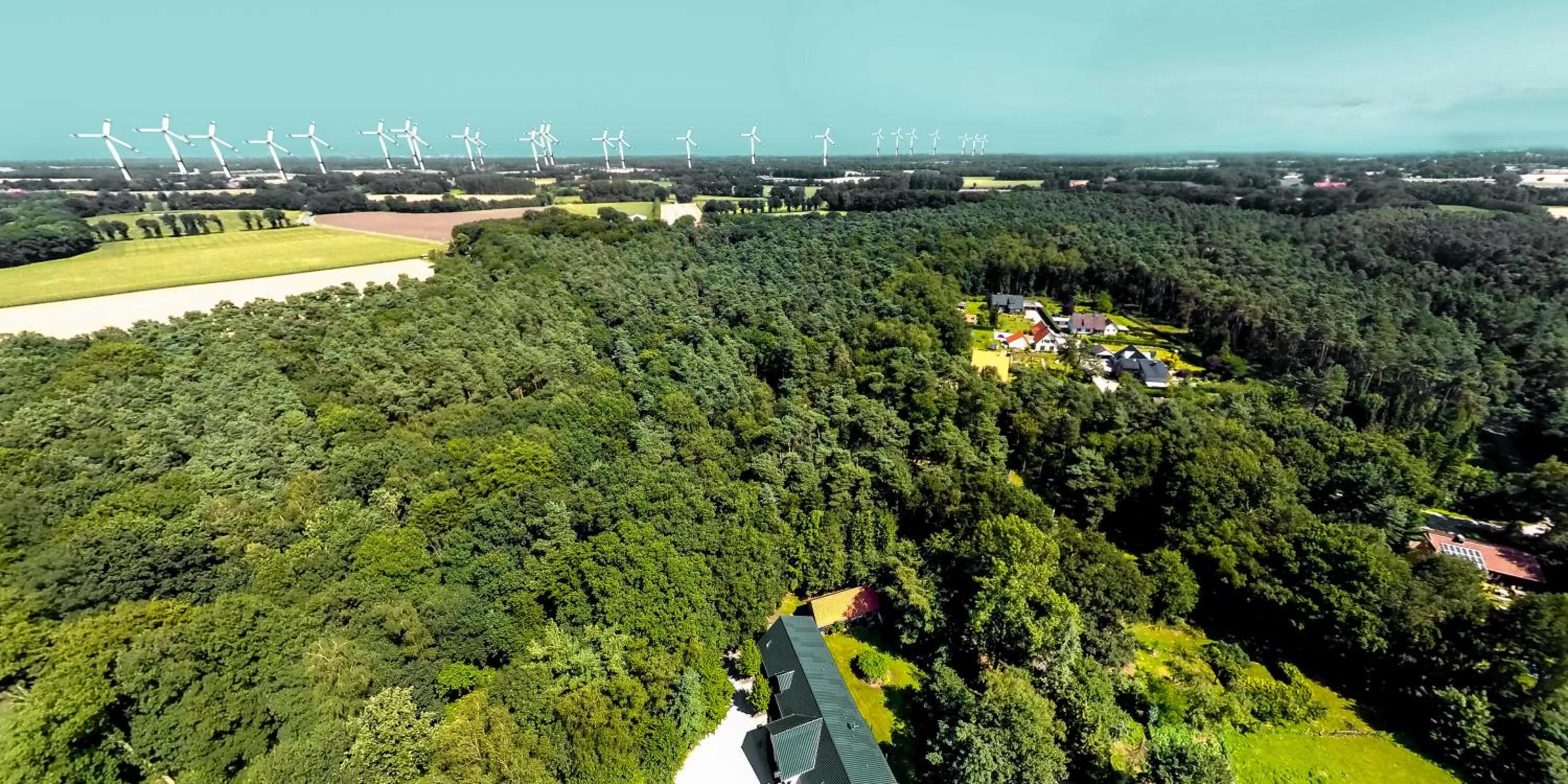 View (from property/room) in Waldhotel Schipp-Hummert