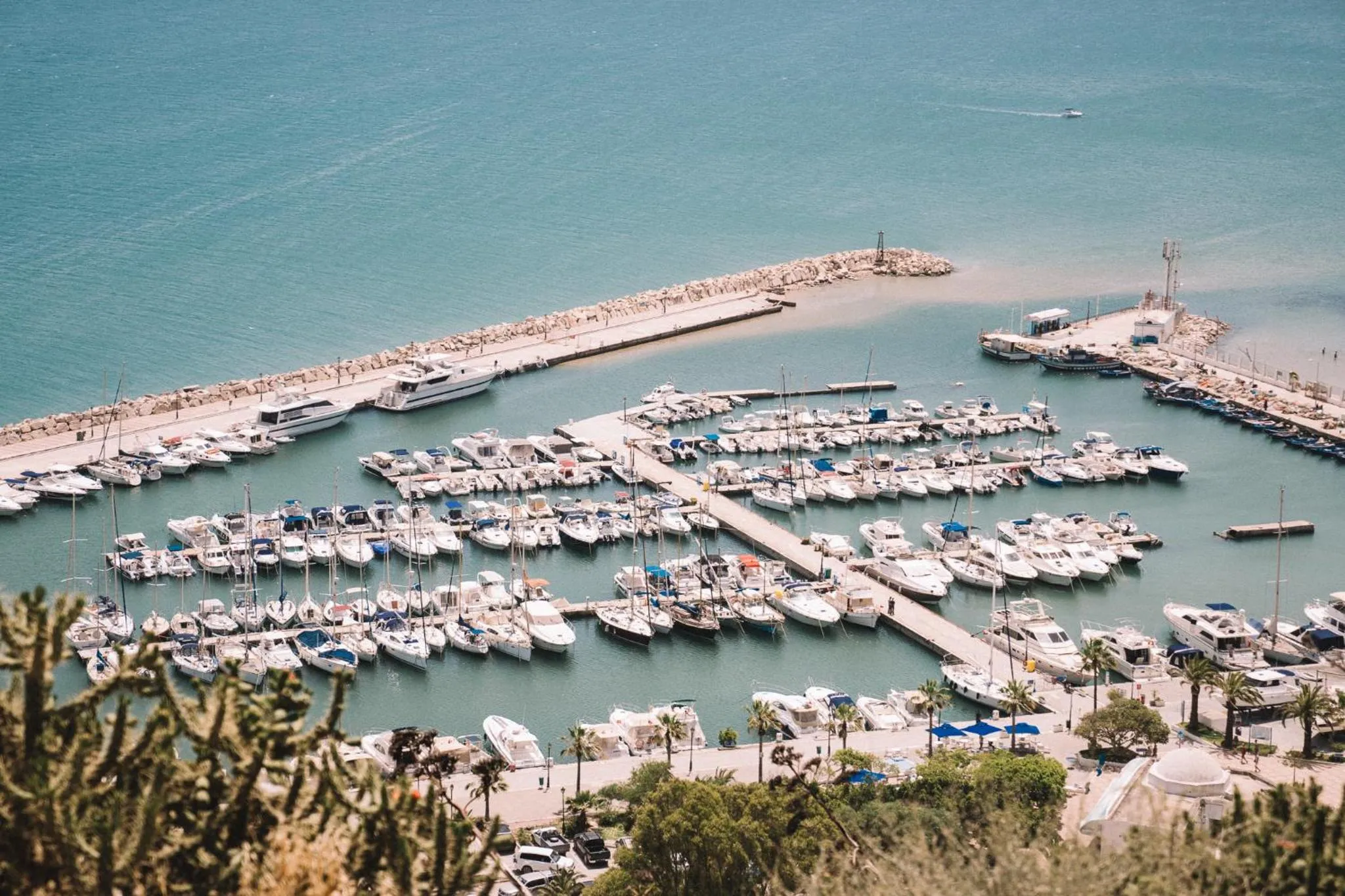 Natural landscape in The Residence Tunis