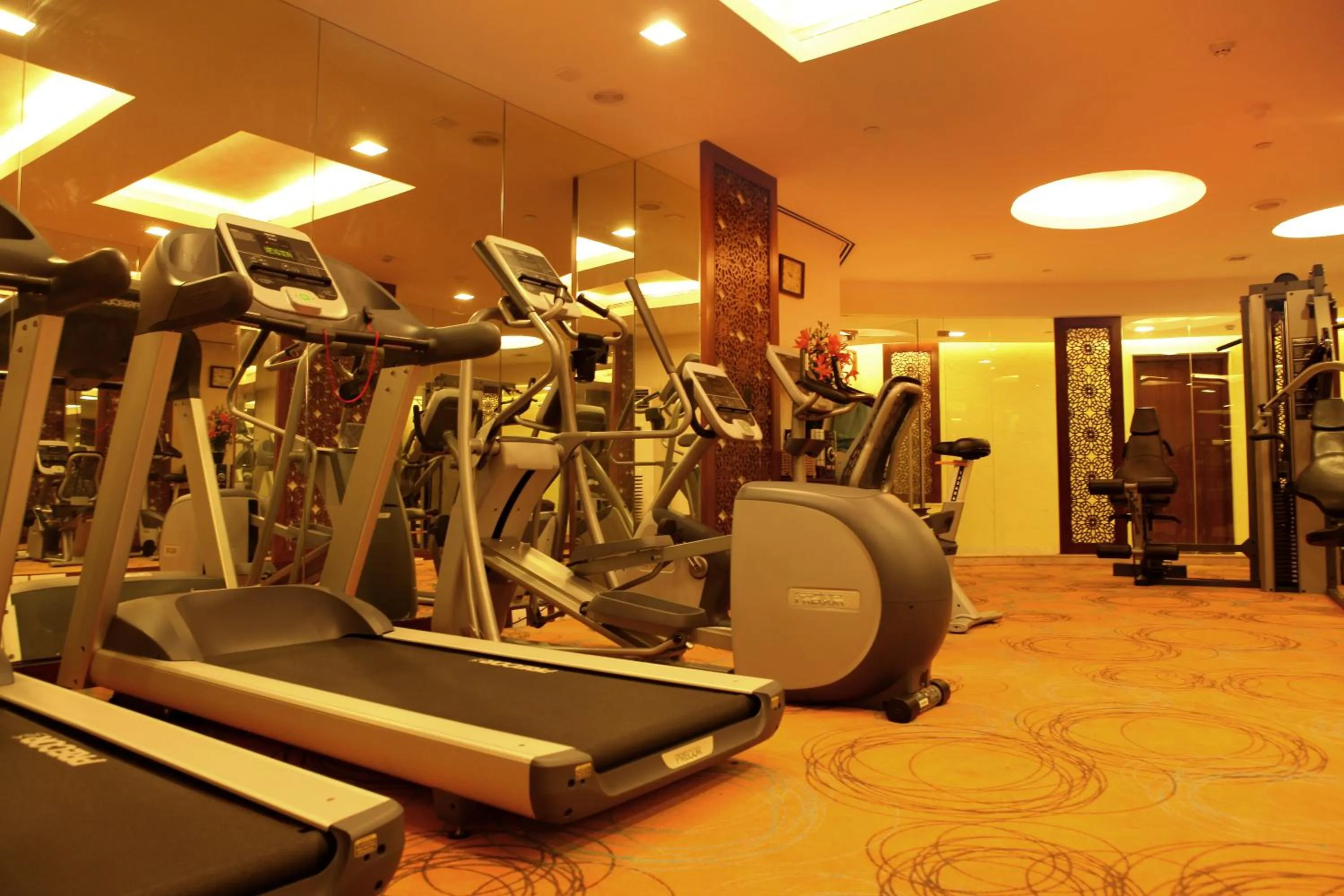 Fitness centre/facilities in The Metropolitan Hotel & Spa New Delhi