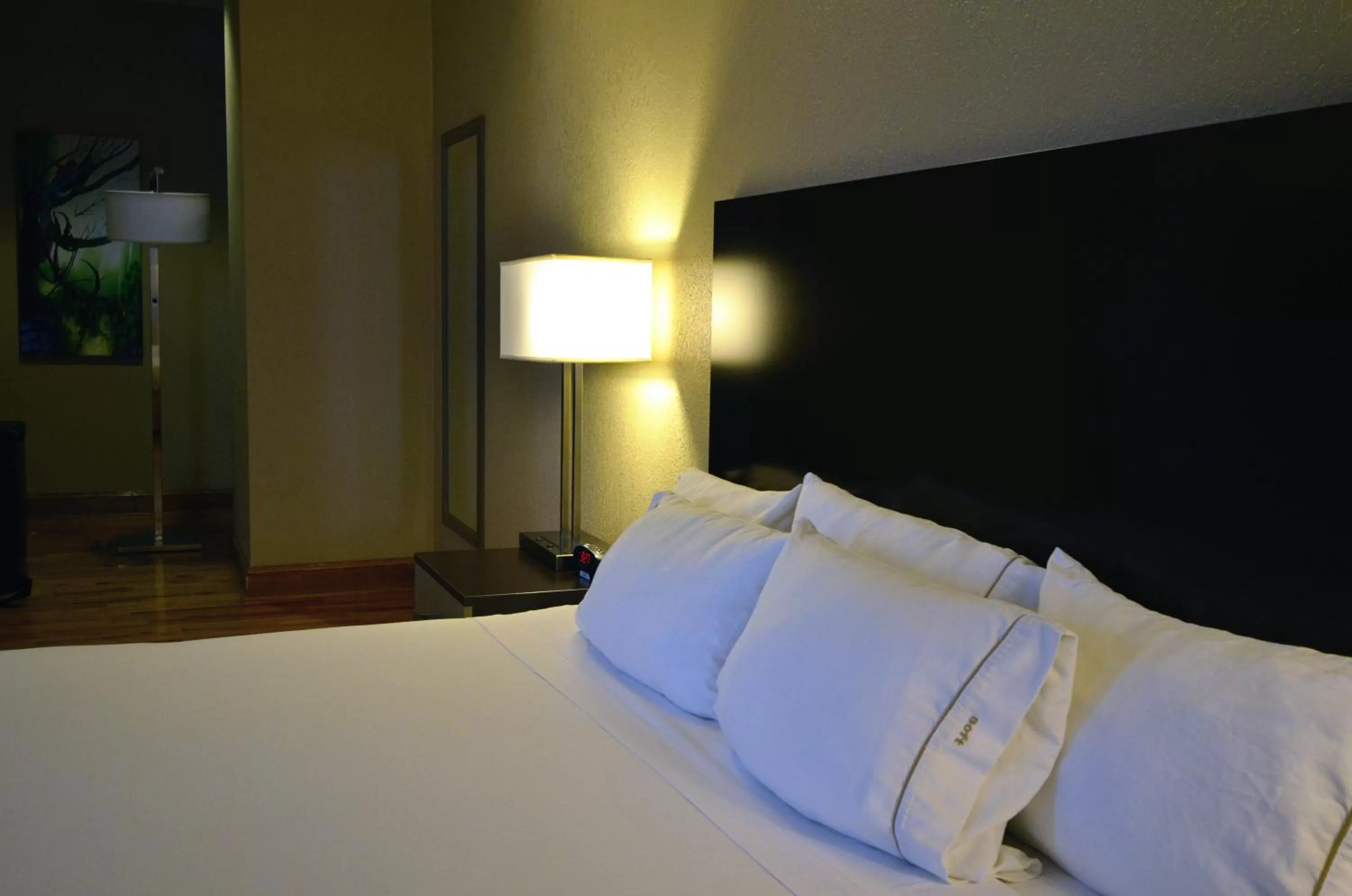 Photo of the whole room, Bed in Holiday Inn Express Cleveland Downtown by IHG