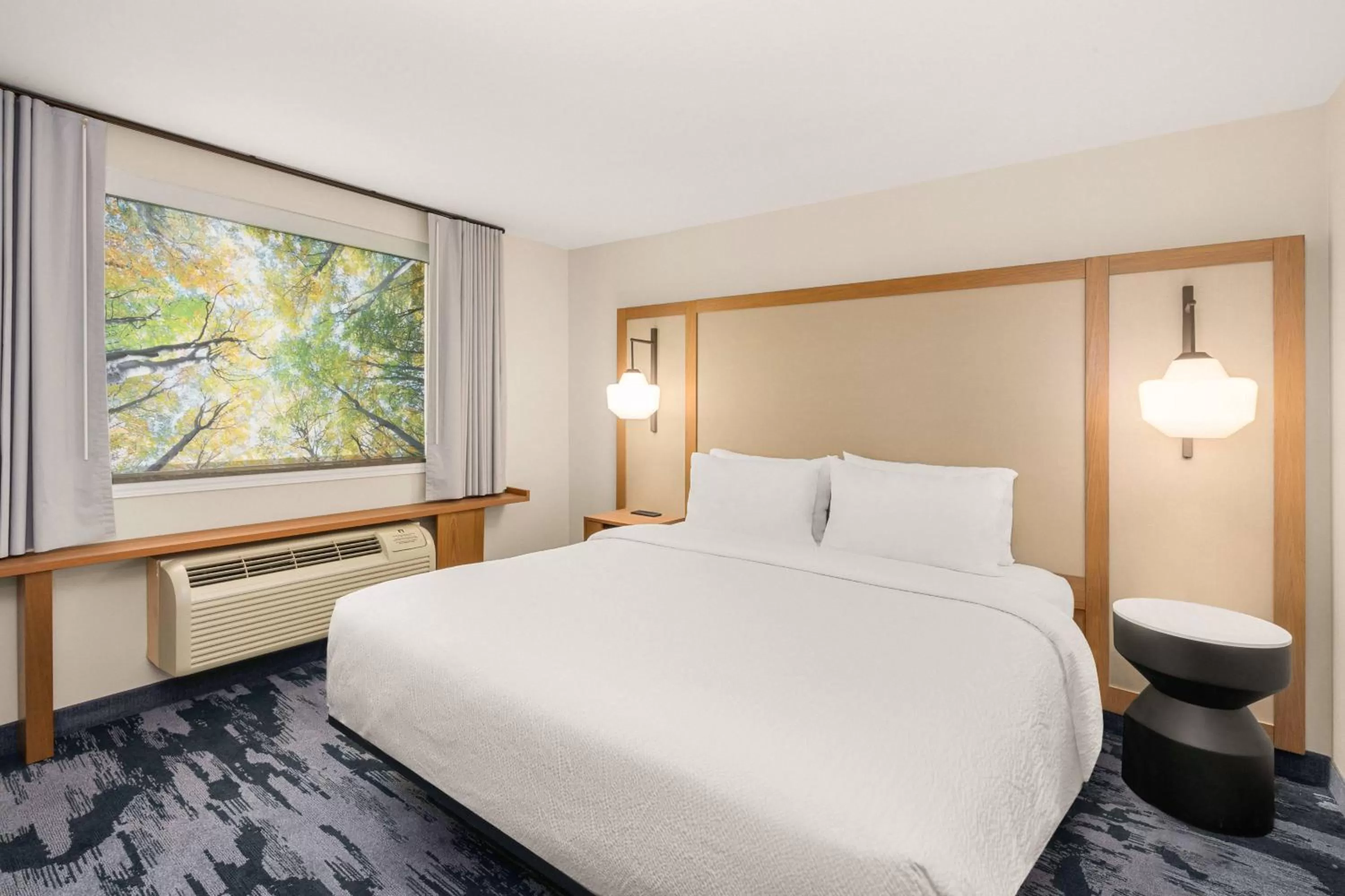 One-Bedroom King Suite in Fairfield Inn & Suites by Marriott Seattle Downtown/Seattle Center