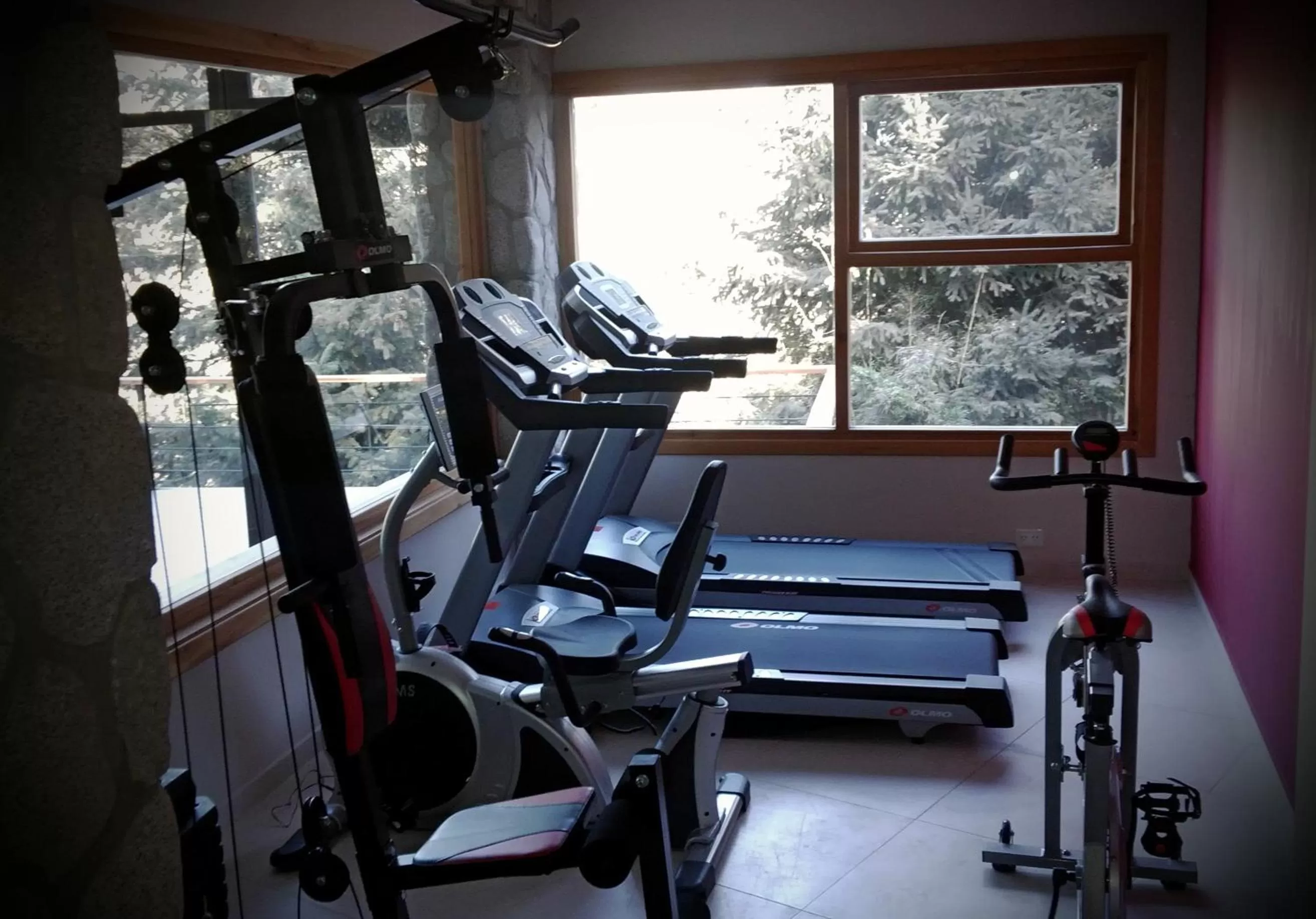 Fitness centre/facilities in Ruca Kuyen Golf & Resort