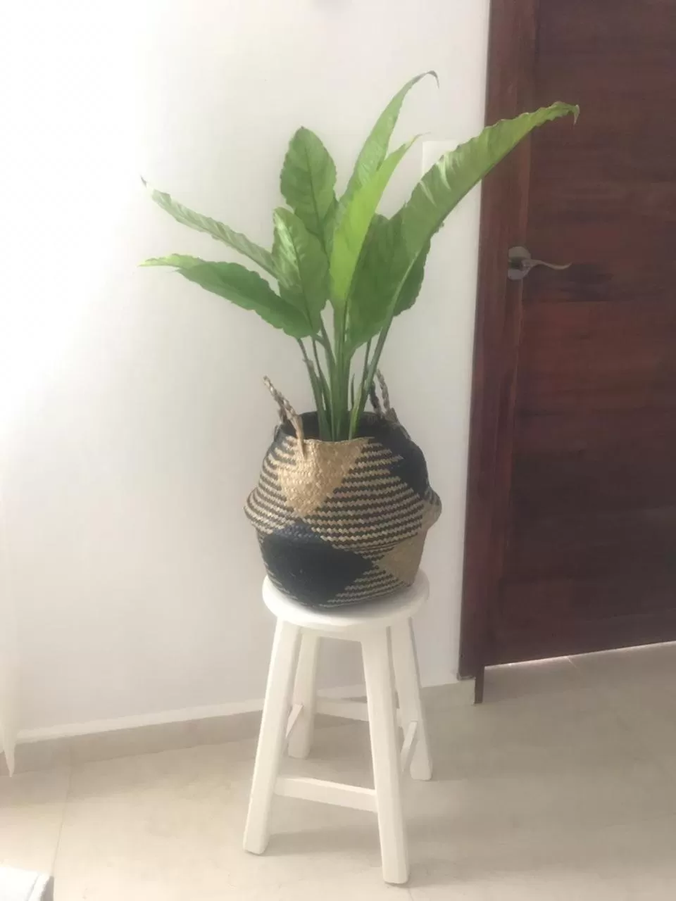 Decorative detail in AGAM Hotel Boutique Bacalar - Adults Only