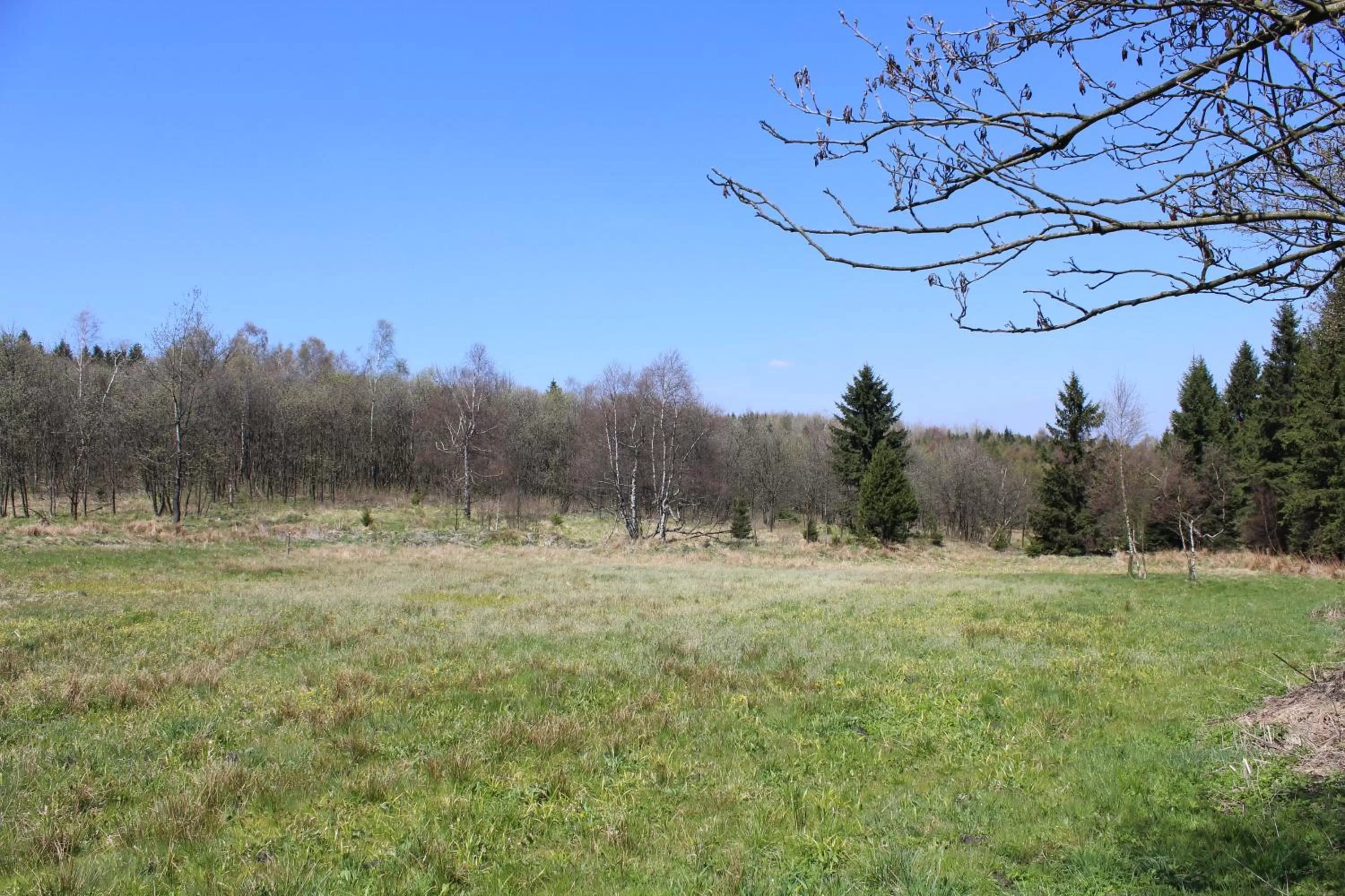 Natural Landscape in Waldgasthof Bad Einsiedel