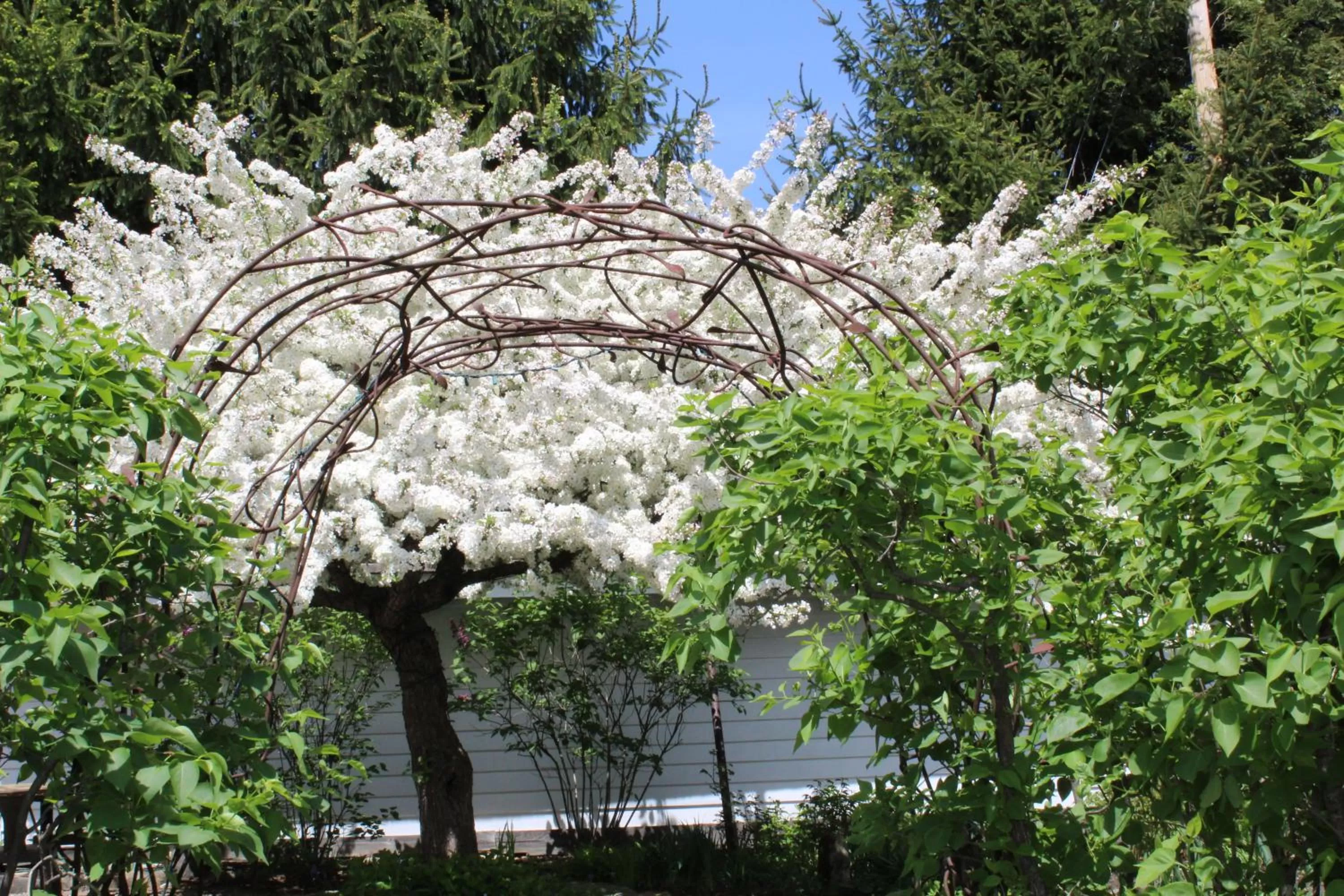 Garden in Four Columns Inn