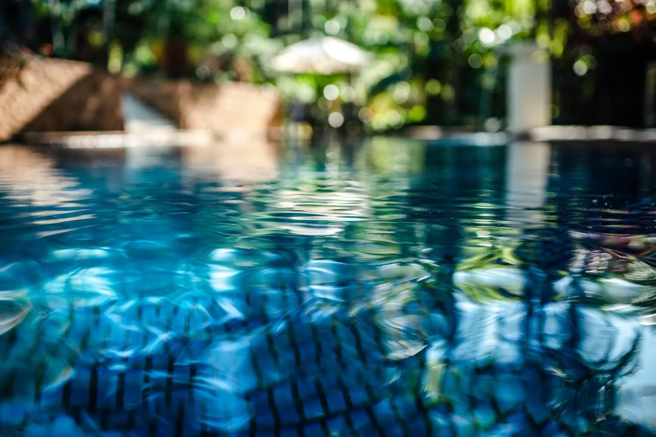 Day in Sensom at Sapphire - Adults only B&B