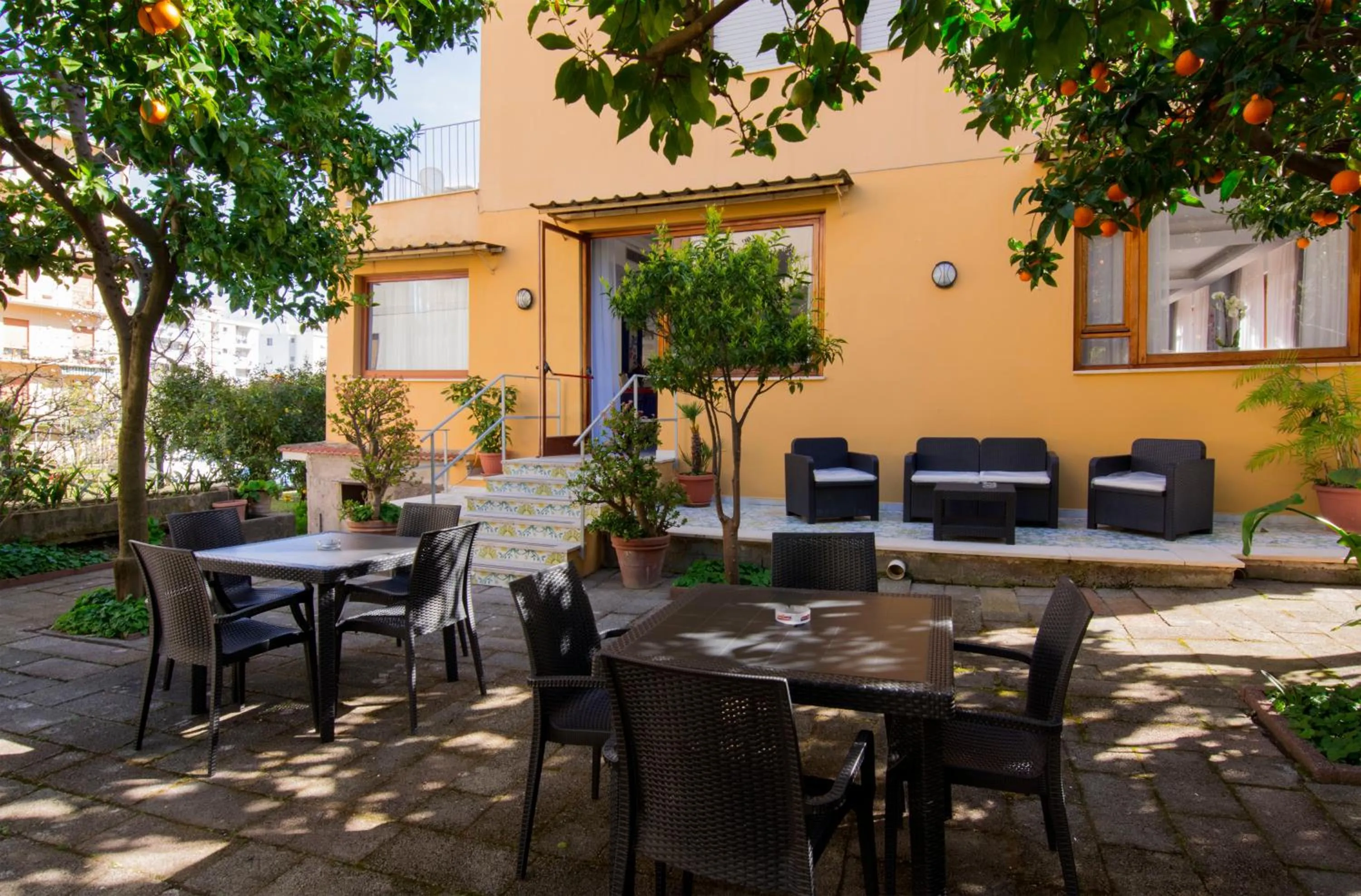 Garden in Hotel Leone