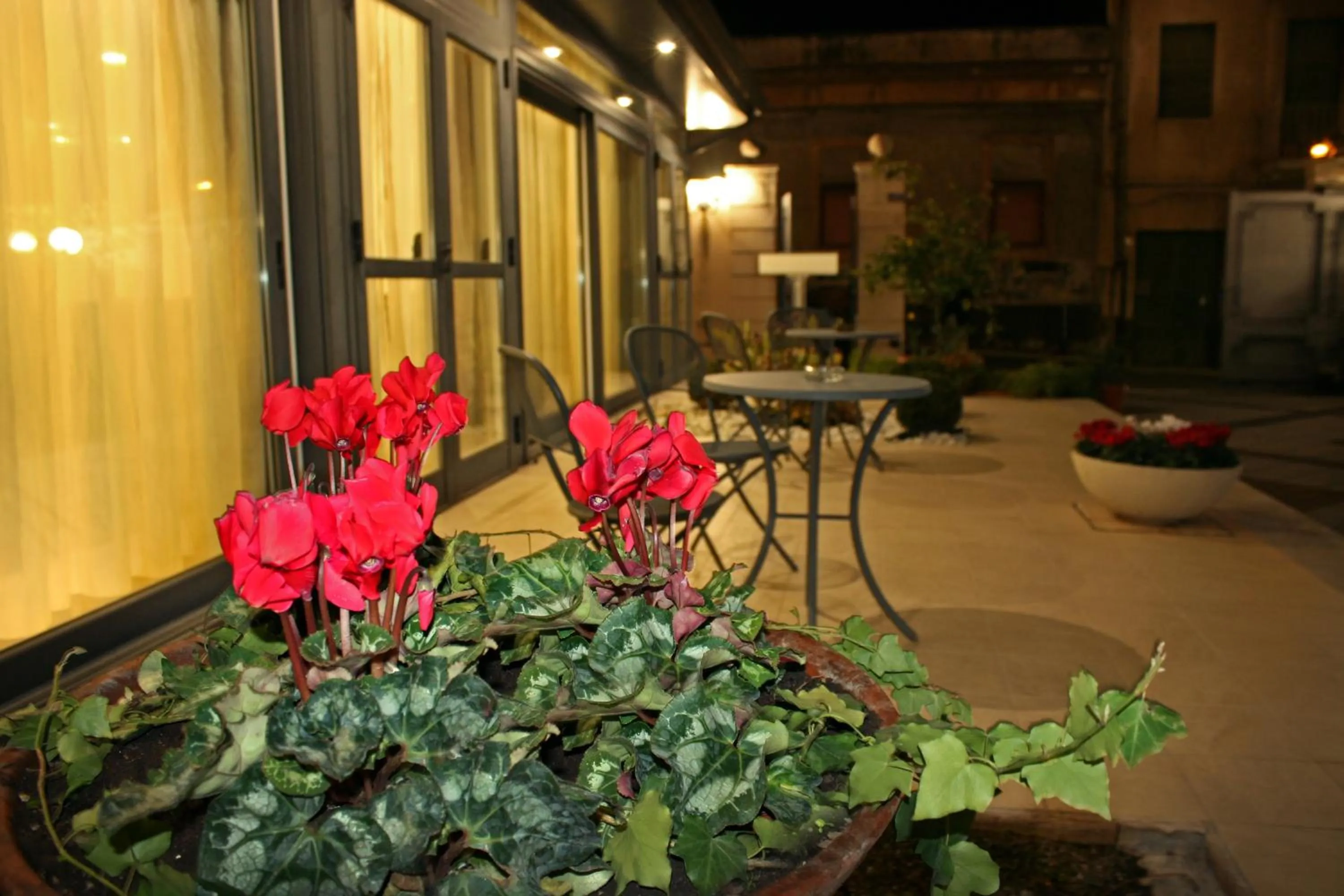 Garden in Hotel Villa Cibele