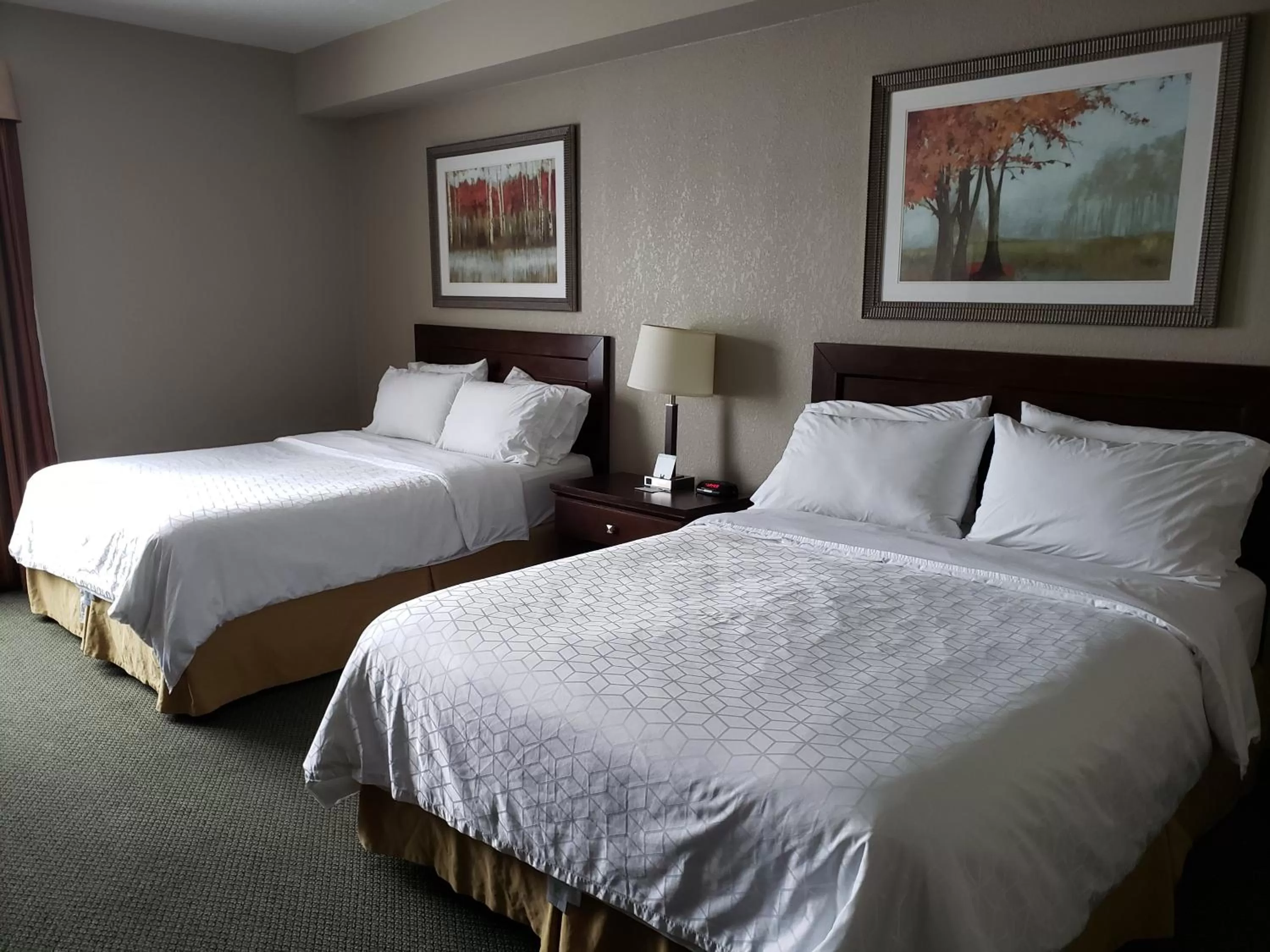 Queen Room with Two Queen Beds in Holiday Inn Express Dryden, an IHG Hotel