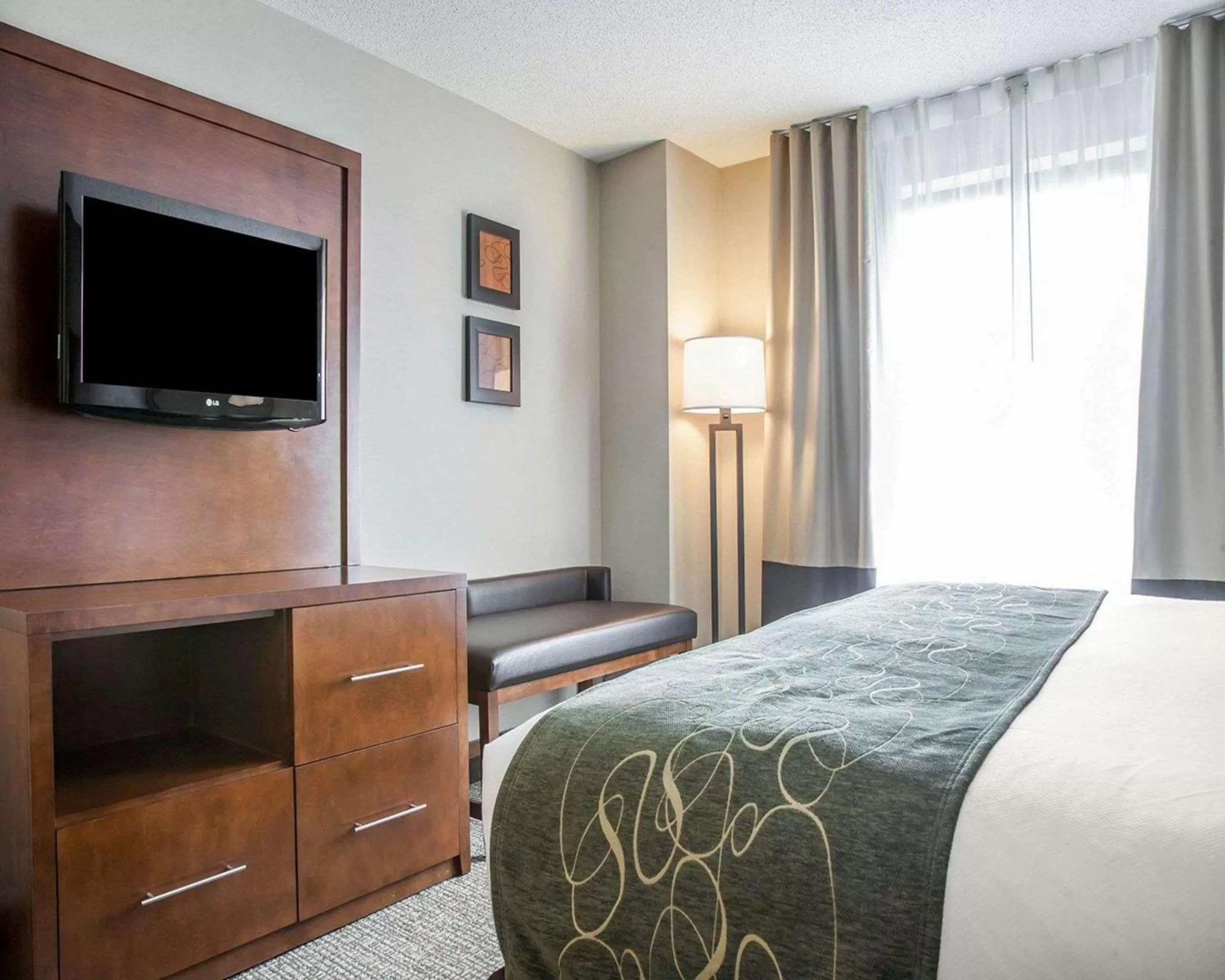 Bedroom, Bed in Comfort Suites West Warwick - Providence