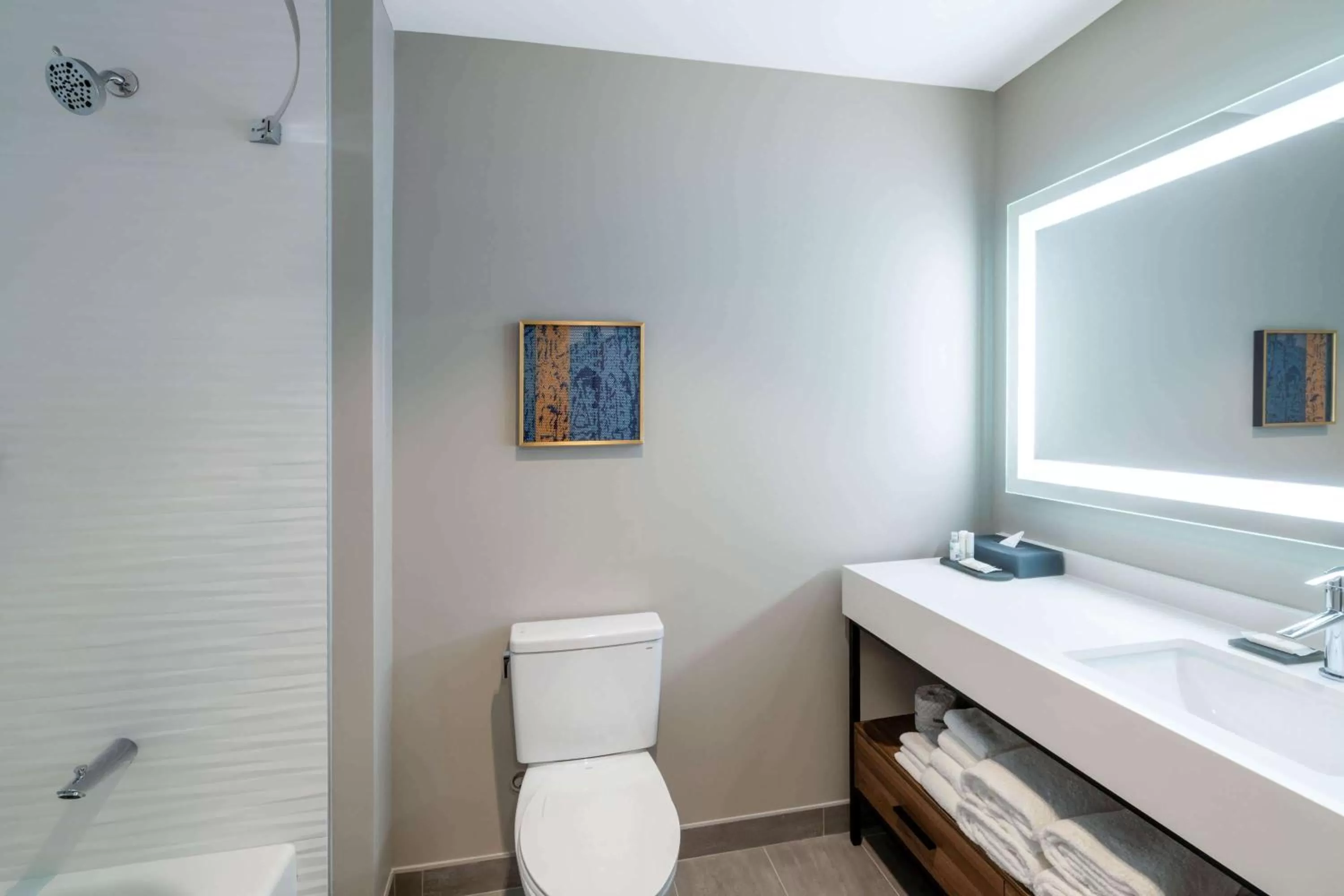 Bathroom in La Quinta Inn & Suites by Wyndham Nashville Downtown Stadium