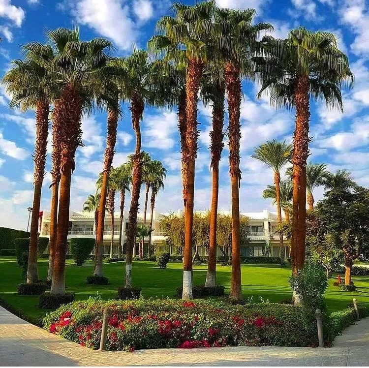 Natural landscape in Monte Carlo Sharm Resort & Spa