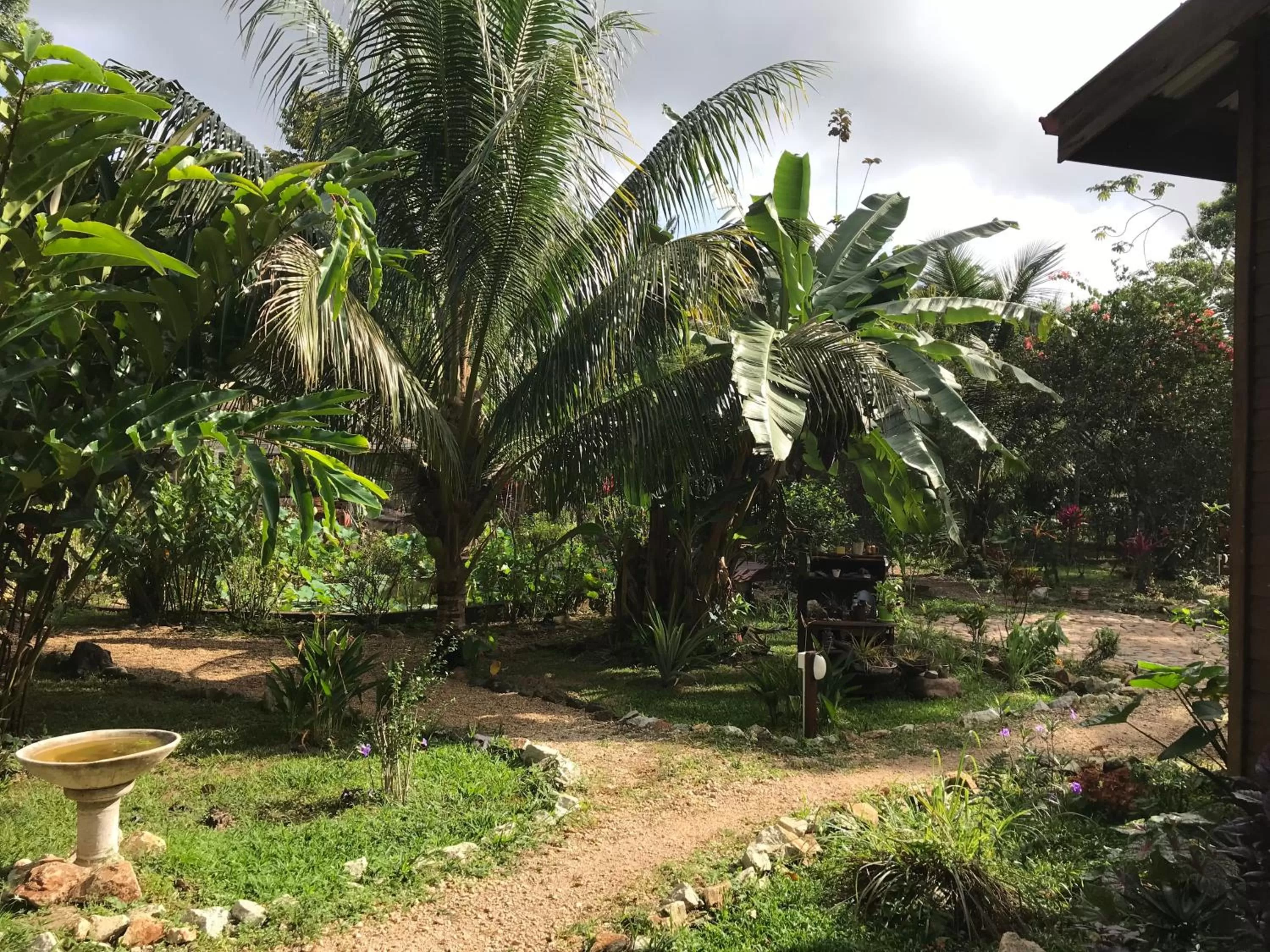 Garden in Sattva Land