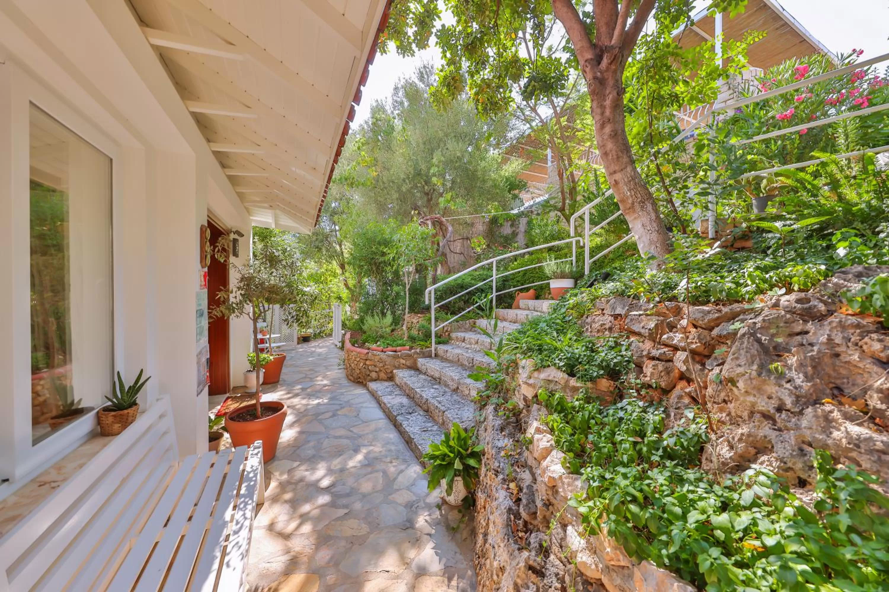 Property building in Olea Nova Hotel