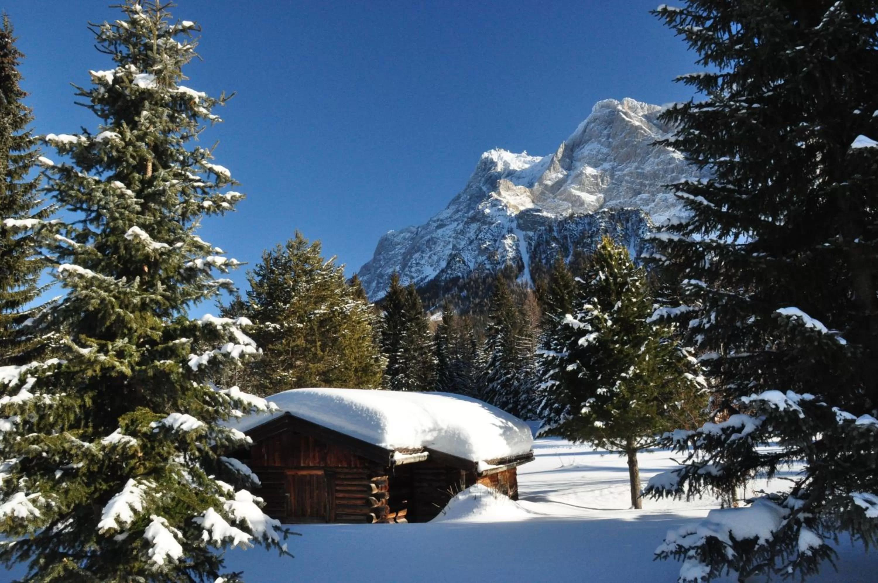Natural landscape, Winter in Hotel Alpen Residence